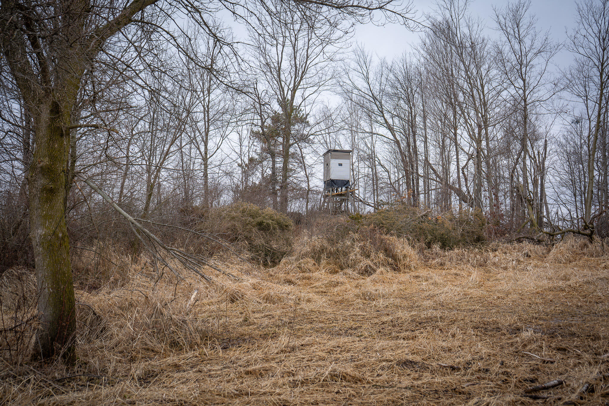 1601 West Territorial Road Camden, MI 49232 - Photo 32 of 34 DSC07729