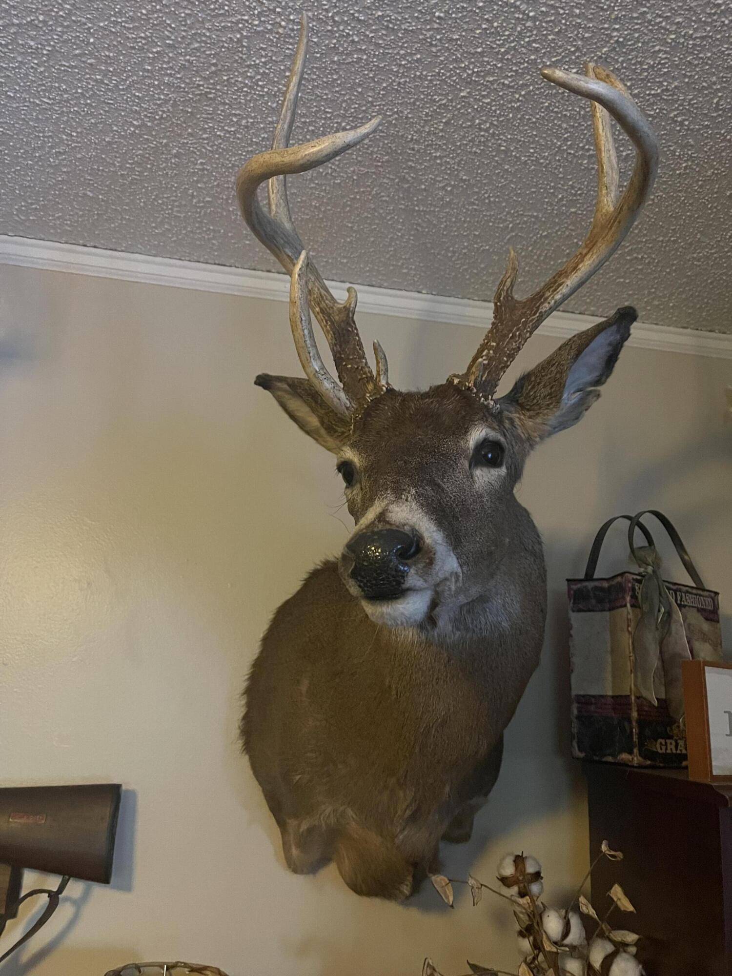 1601 West Territorial Road Camden, MI 49232 - Photo 33 of 34 IMG_7438