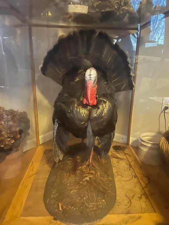 $600,000 | 1601 West Territorial Road, Camden, MI 49232