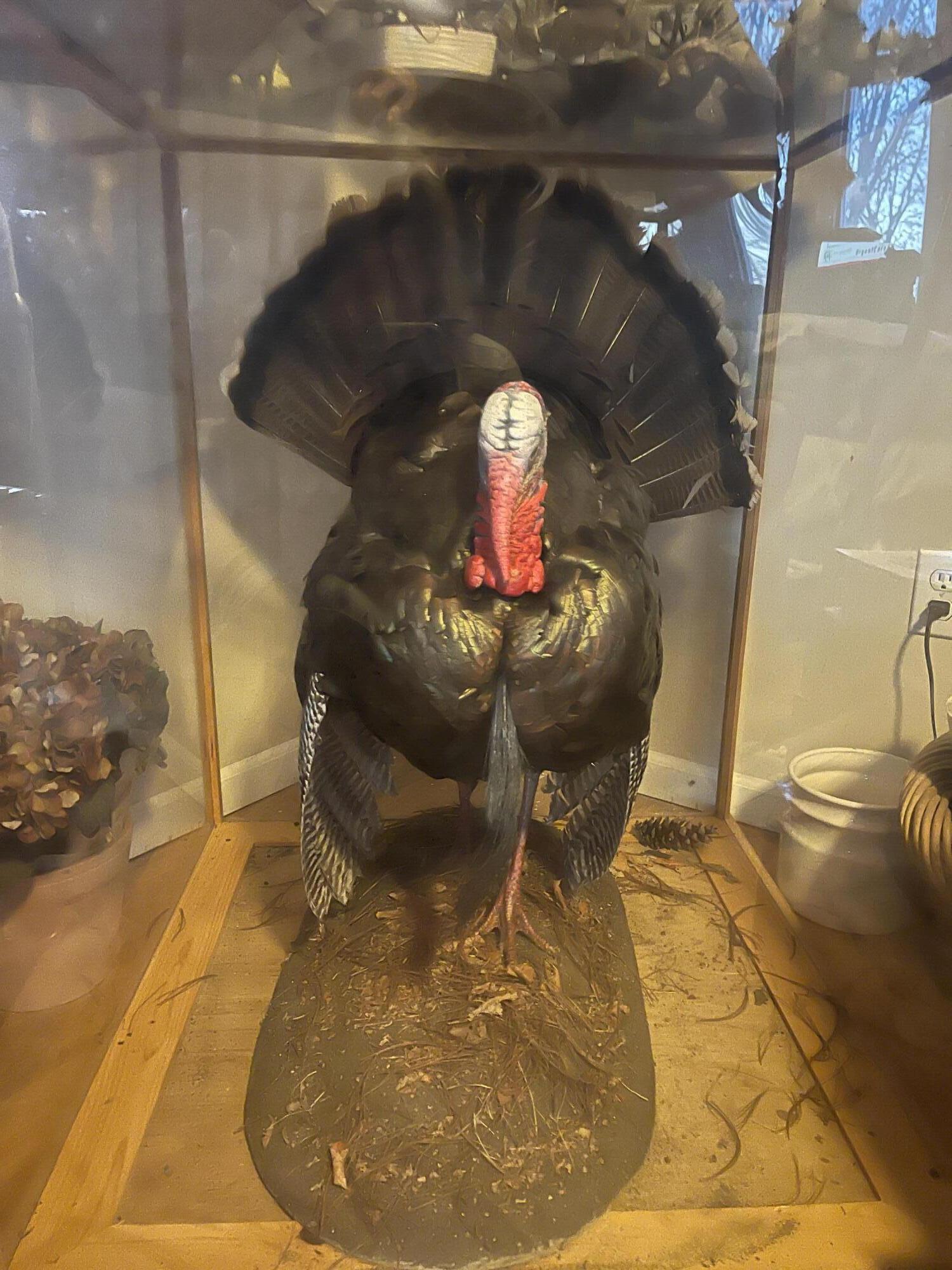 1601 West Territorial Road Camden, MI 49232 - Photo 34 of 34 IMG_7441