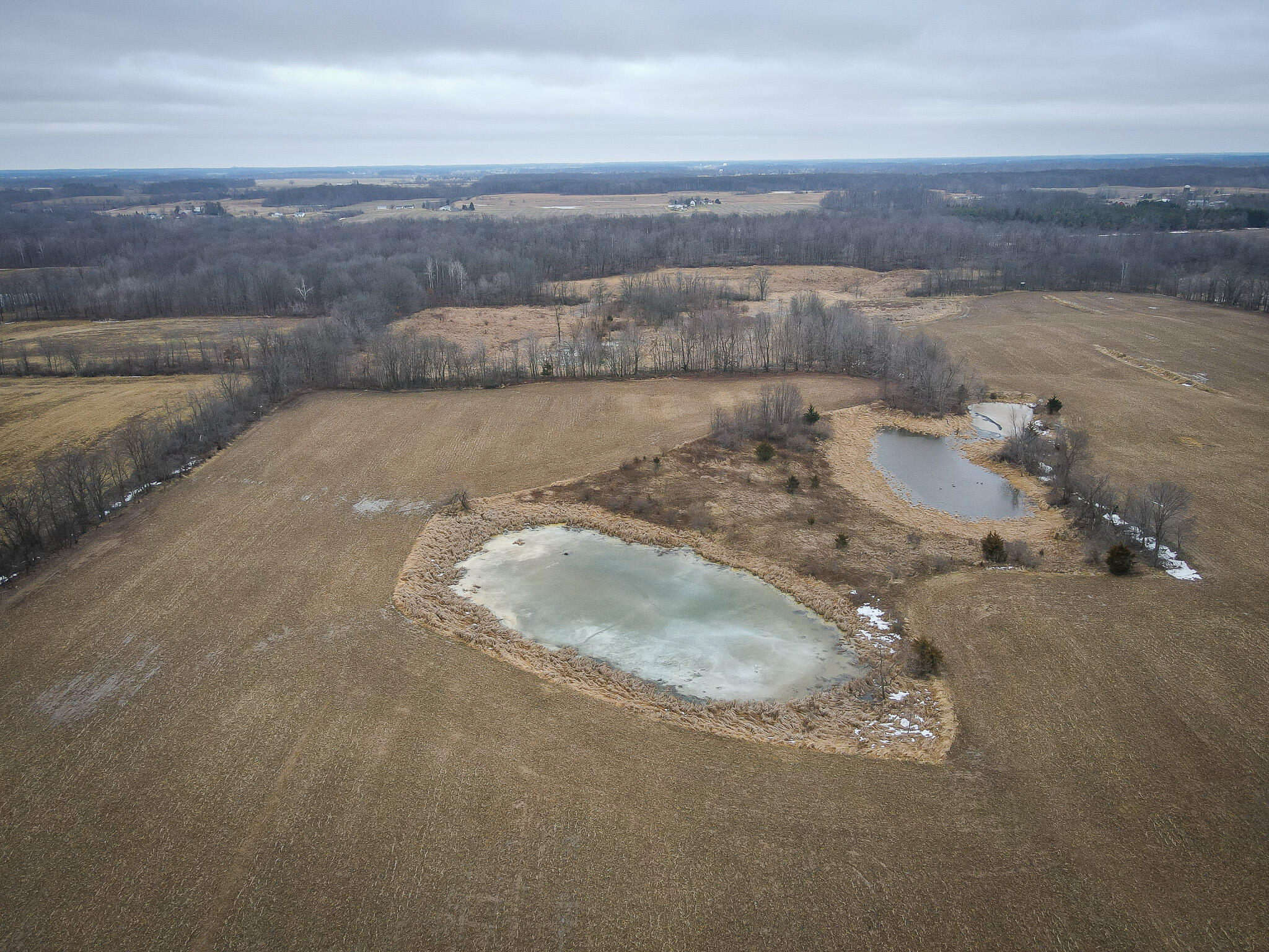 1601 West Territorial Road Camden, MI 49232 - Photo 7 of 34 DJI_0412