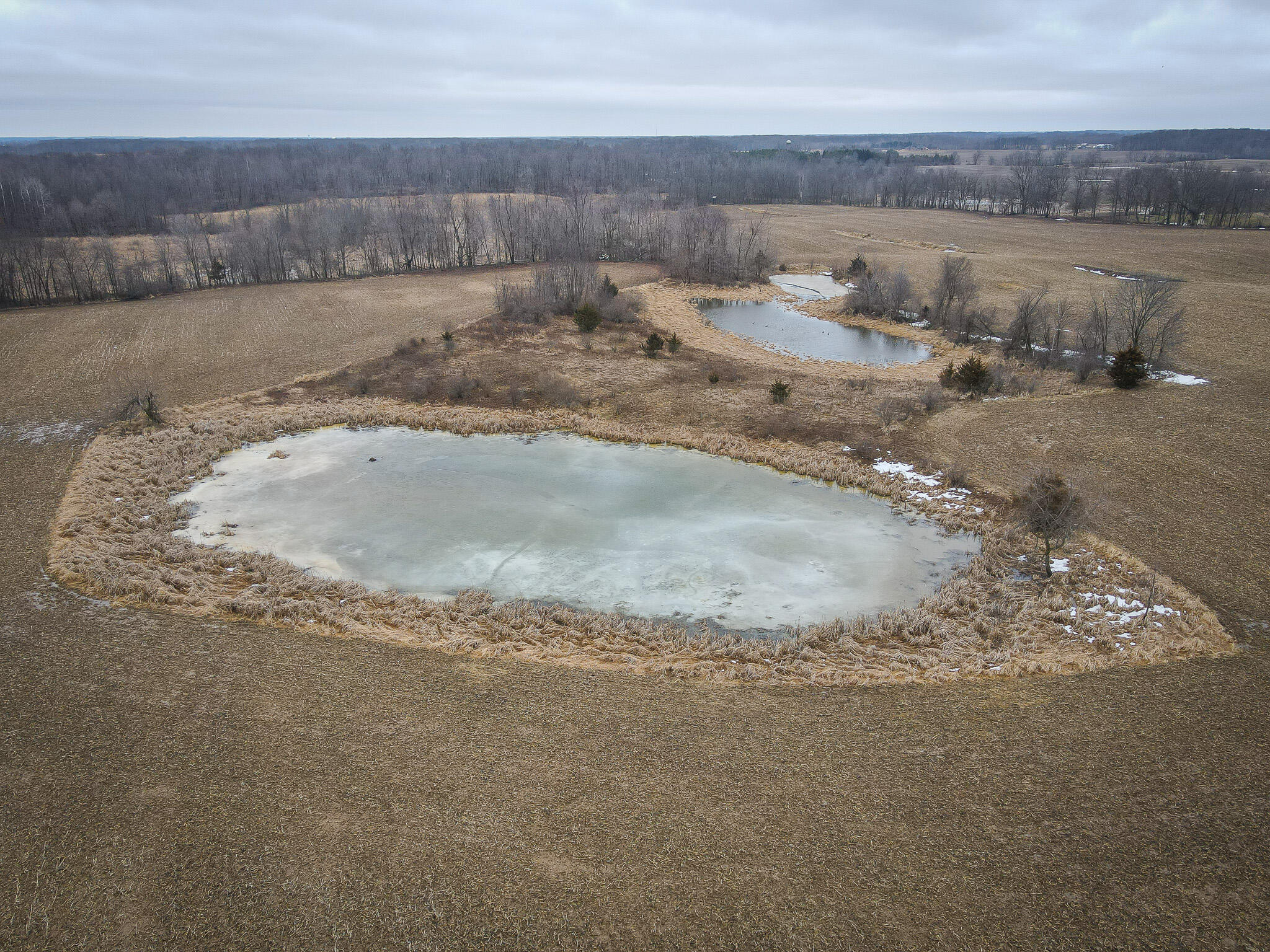 1601 West Territorial Road Camden, MI 49232 - Photo 8 of 34 DJI_0413