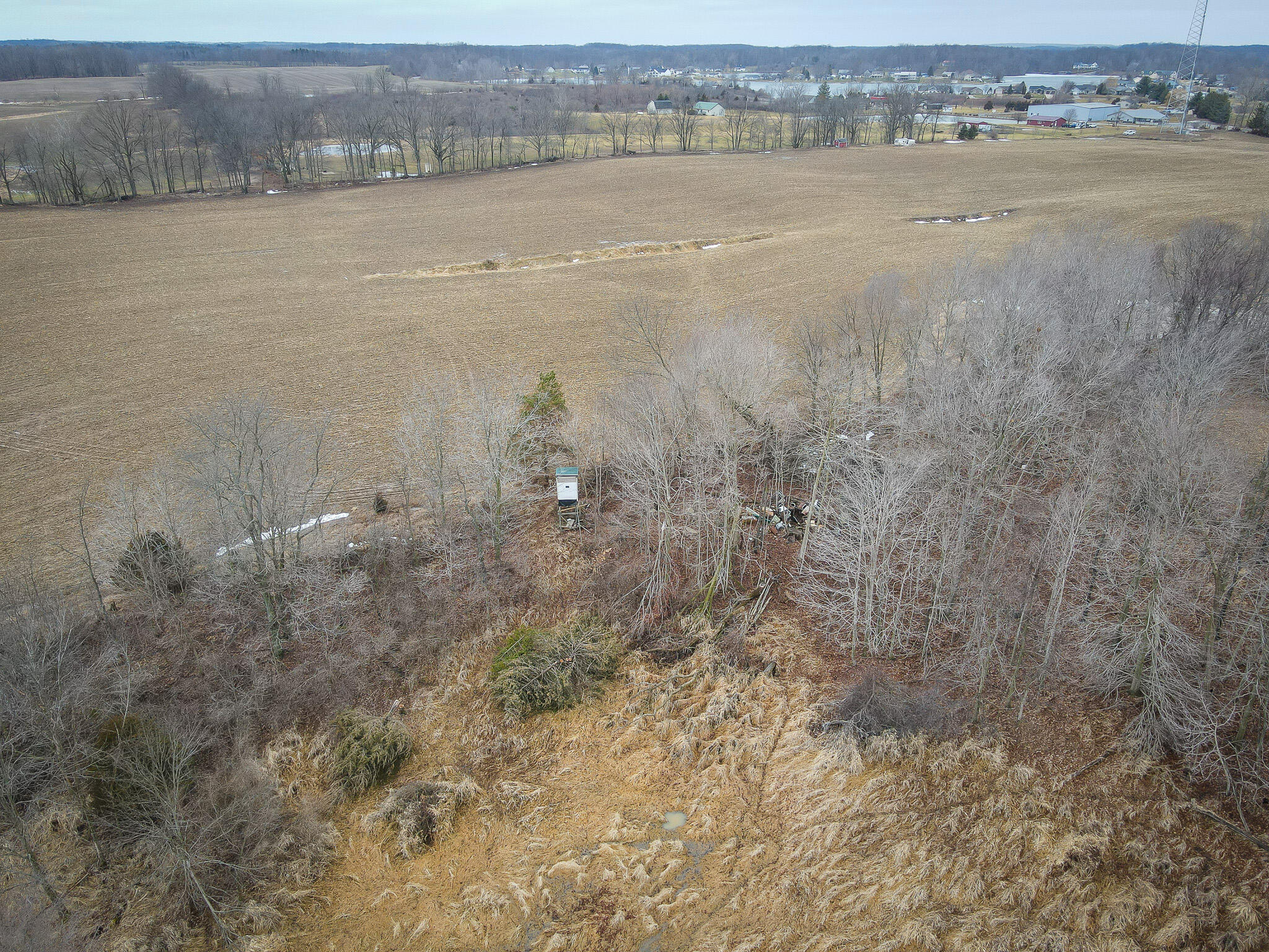 1601 West Territorial Road Camden, MI 49232 - Photo 9 of 34 DJI_0418