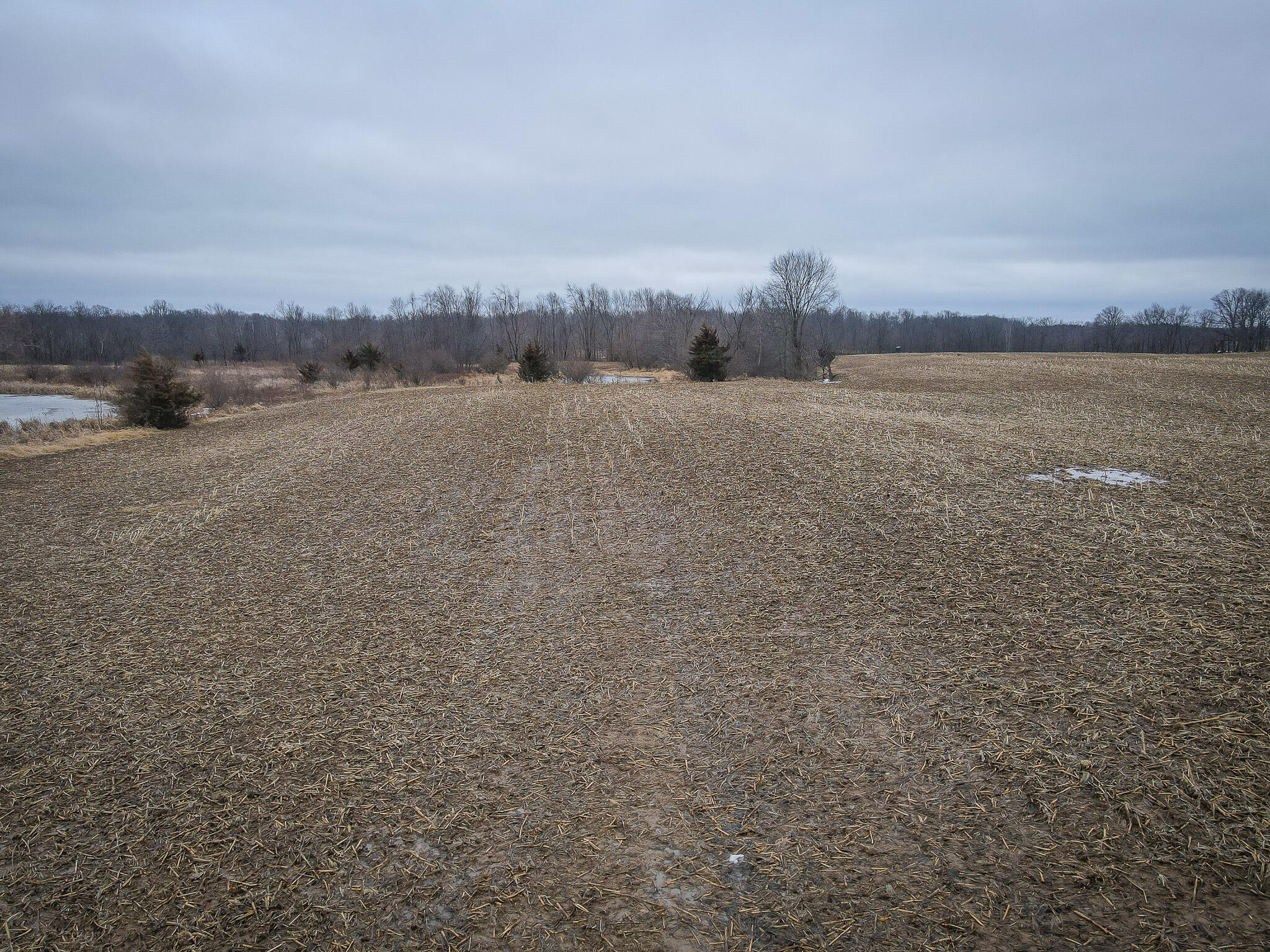 1601 West Territorial Road Camden, MI 49232 - Photo 10 of 34 DJI_0423