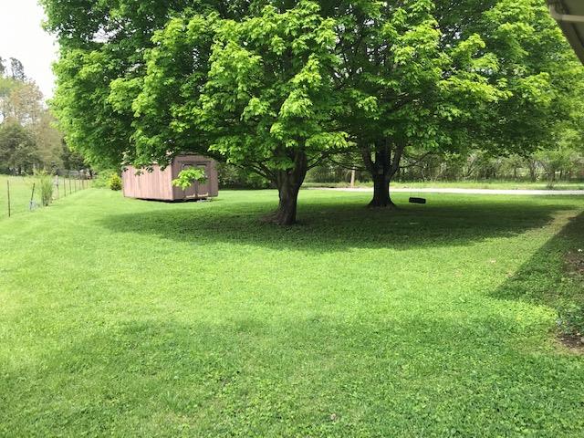 2804 Cat Creek Road Manchester, TN 37355 - Photo 14 of 14 large backyard with storage building