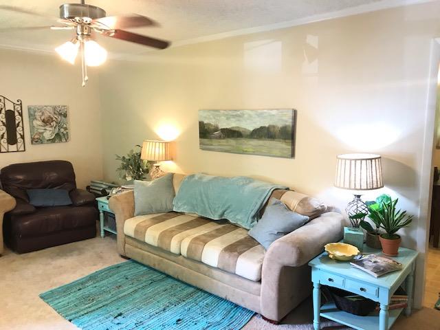 2804 Cat Creek Road Manchester, TN 37355 - Photo 3 of 14 Just inside you will find the neutral decorated living room