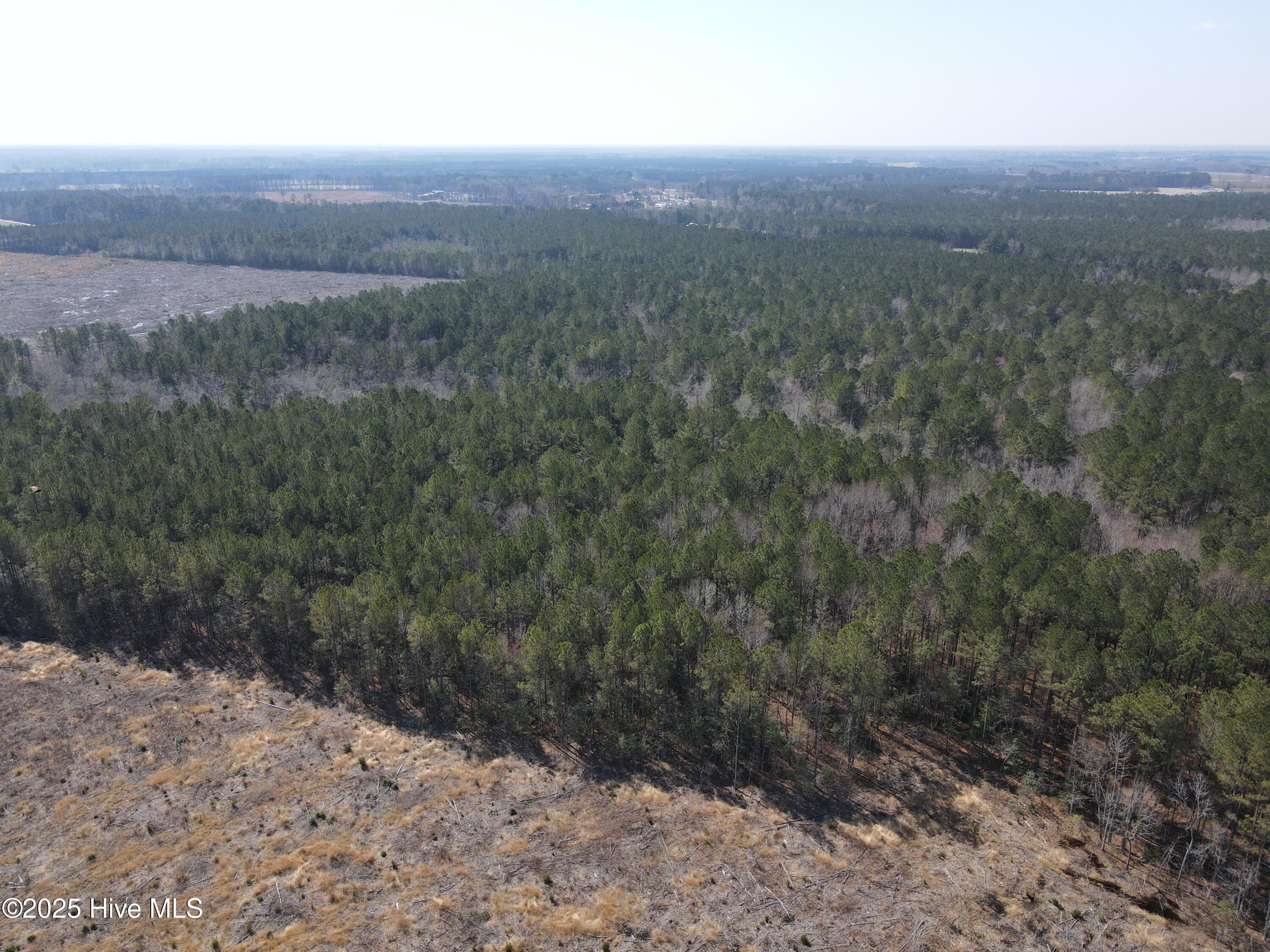0 Webb Lake Road Wilson, NC 27893 - Photo 11 of 21 11