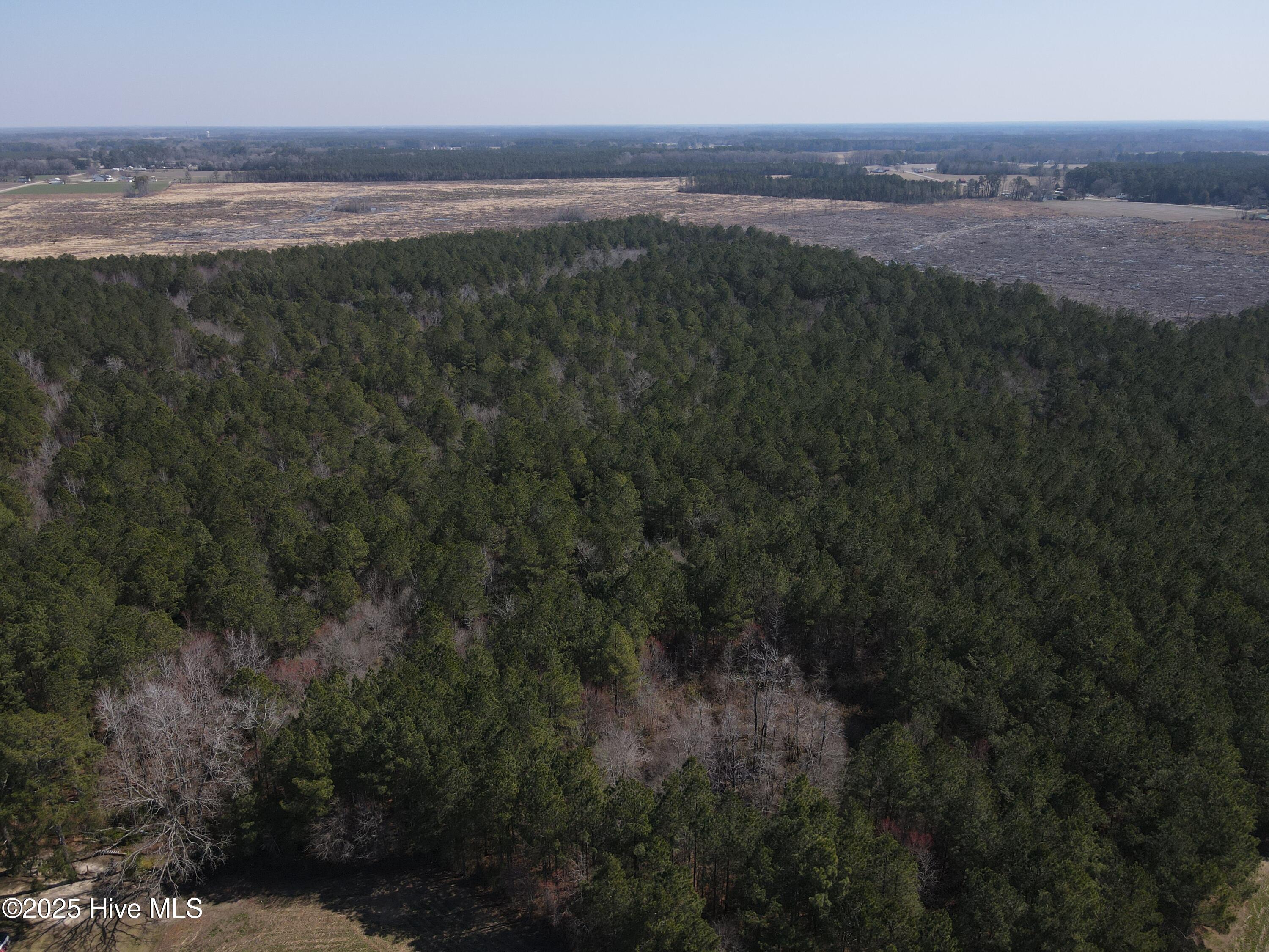 0 Webb Lake Road Wilson, NC 27893 - Photo 12 of 21 12