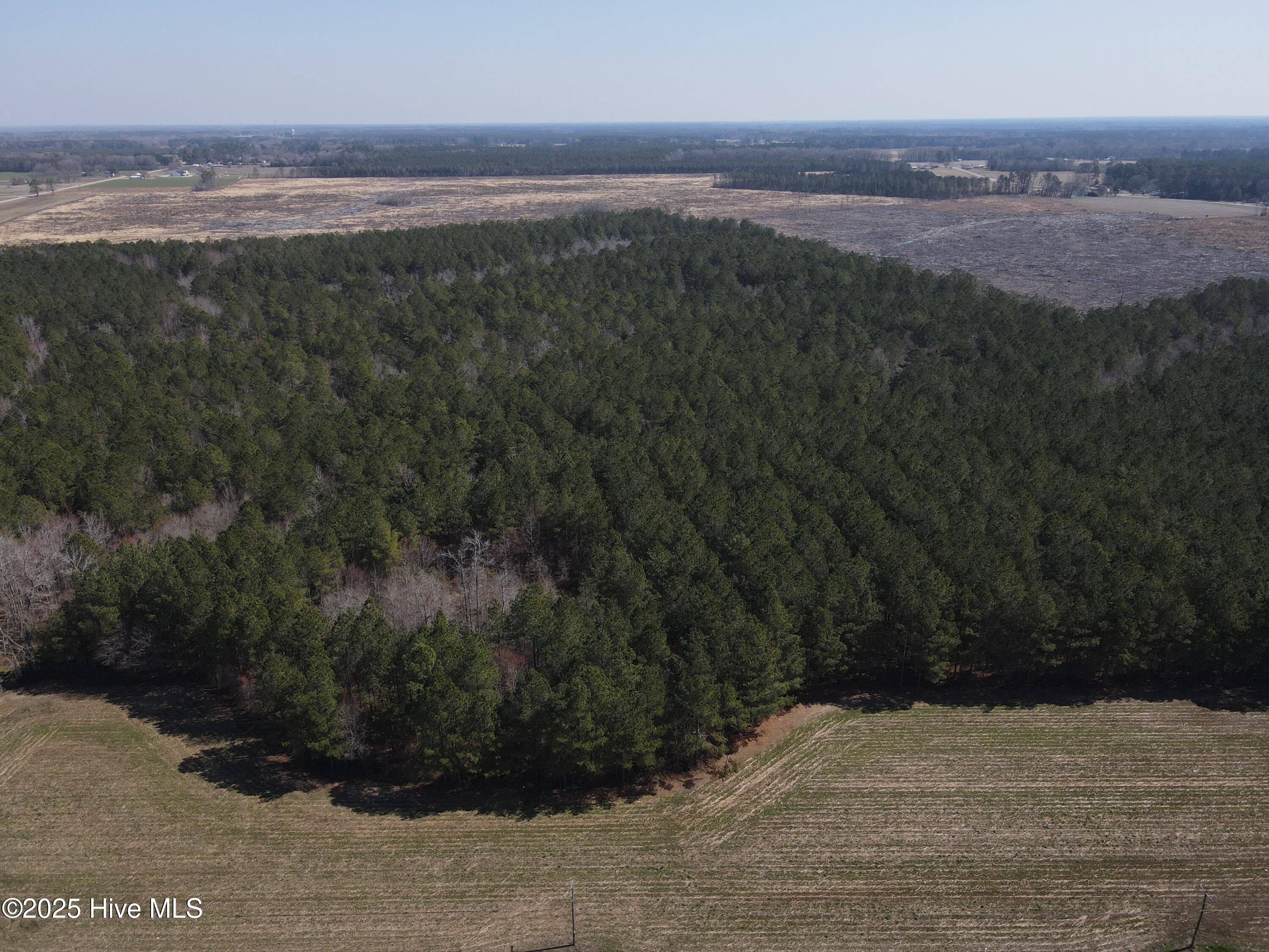 0 Webb Lake Road Wilson, NC 27893 - Photo 13 of 21 13