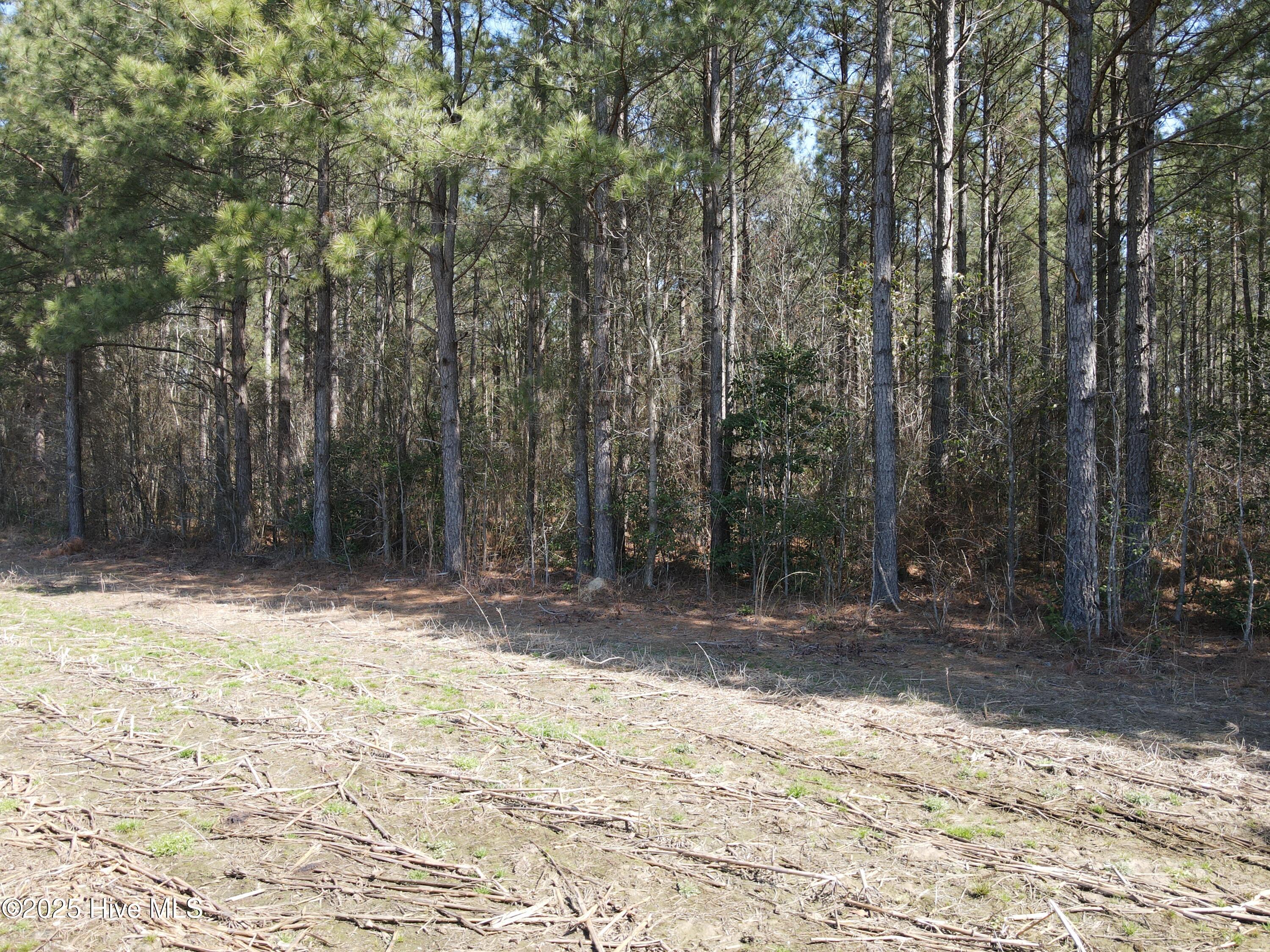 0 Webb Lake Road Wilson, NC 27893 - Photo 20 of 21 20