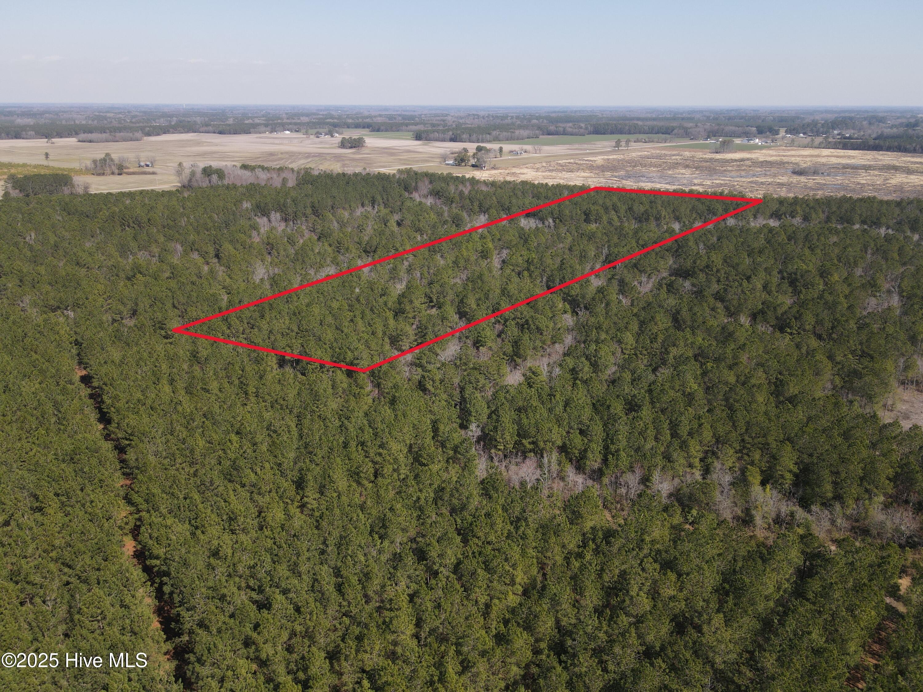 0 Webb Lake Road Wilson, NC 27893 - Photo 2 of 21 2
