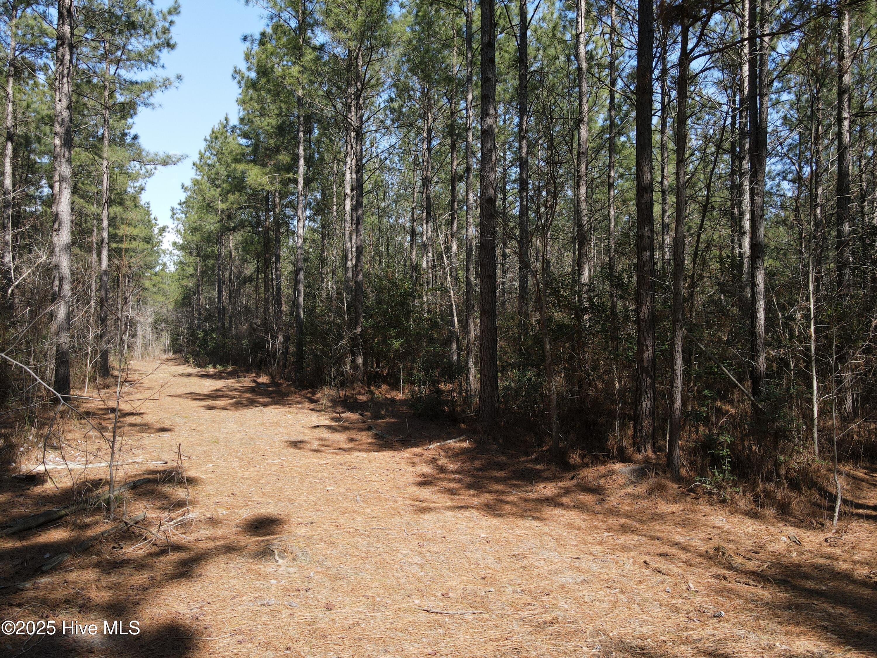 0 Webb Lake Road Wilson, NC 27893 - Photo 21 of 21 21