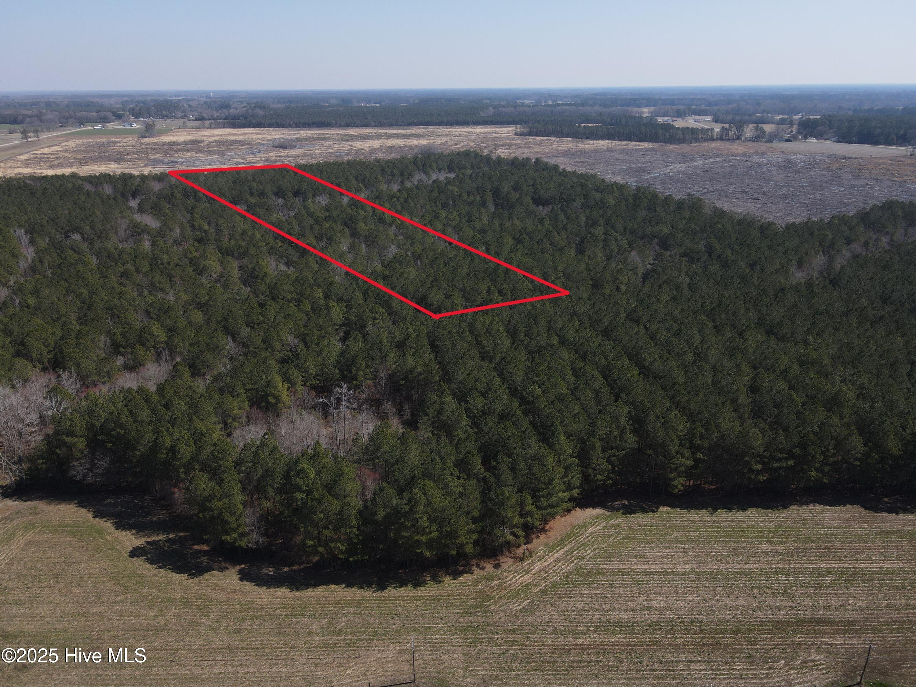 0 Webb Lake Road Wilson, NC 27893 - Photo 3 of 21 3