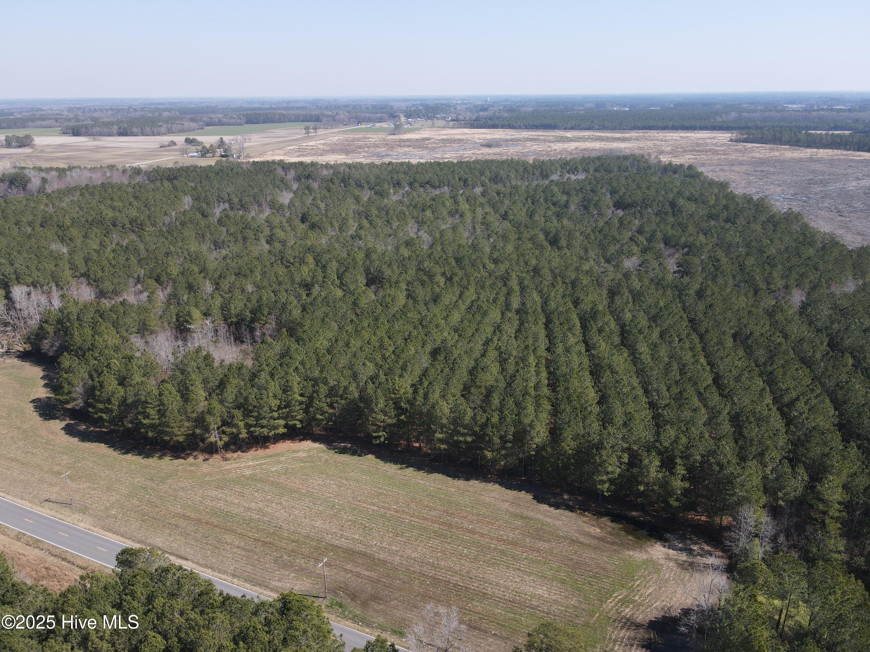 0 Webb Lake Road Wilson, NC 27893 - Photo 4 of 21 4