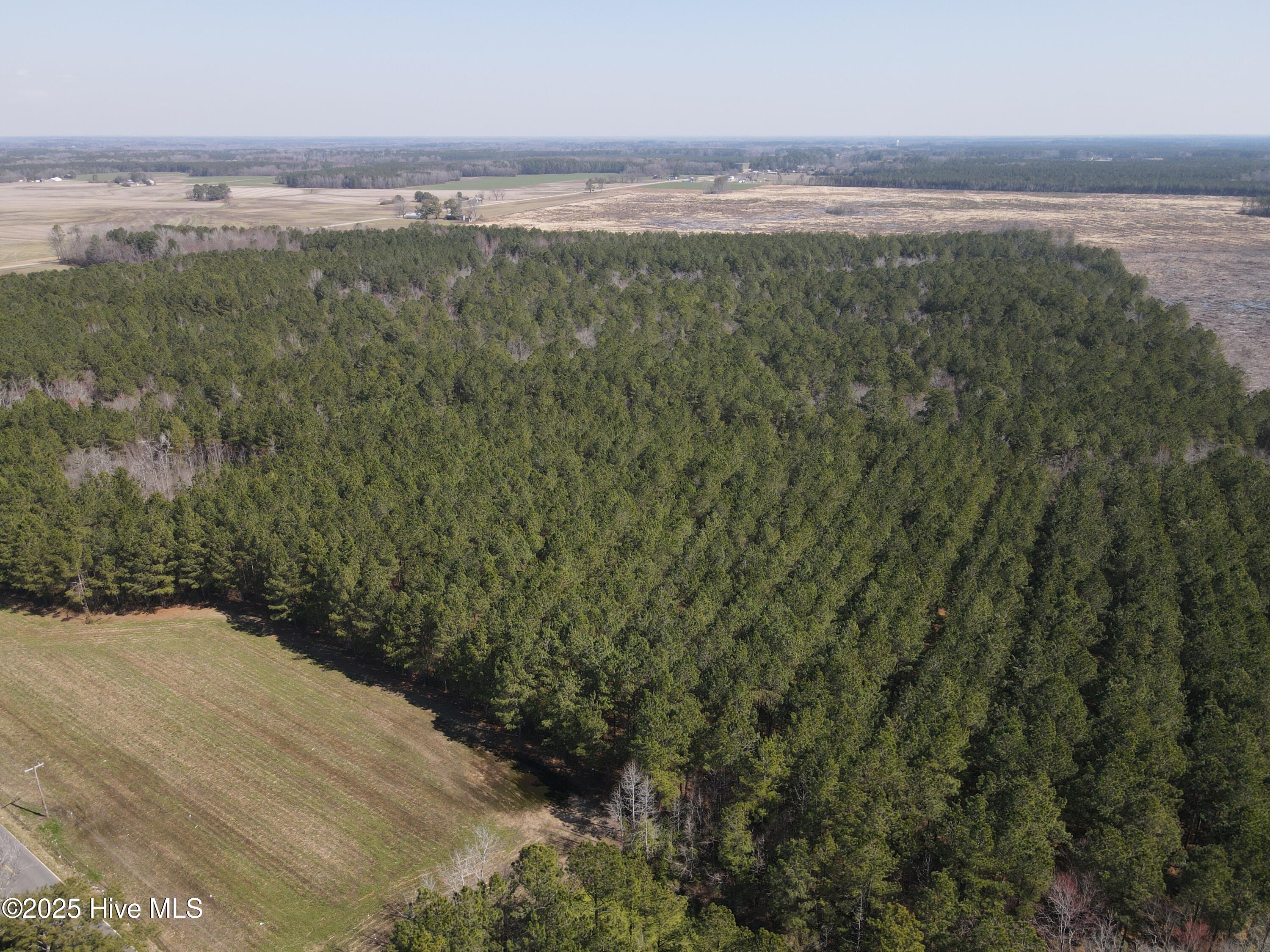 0 Webb Lake Road Wilson, NC 27893 - Photo 5 of 21 5
