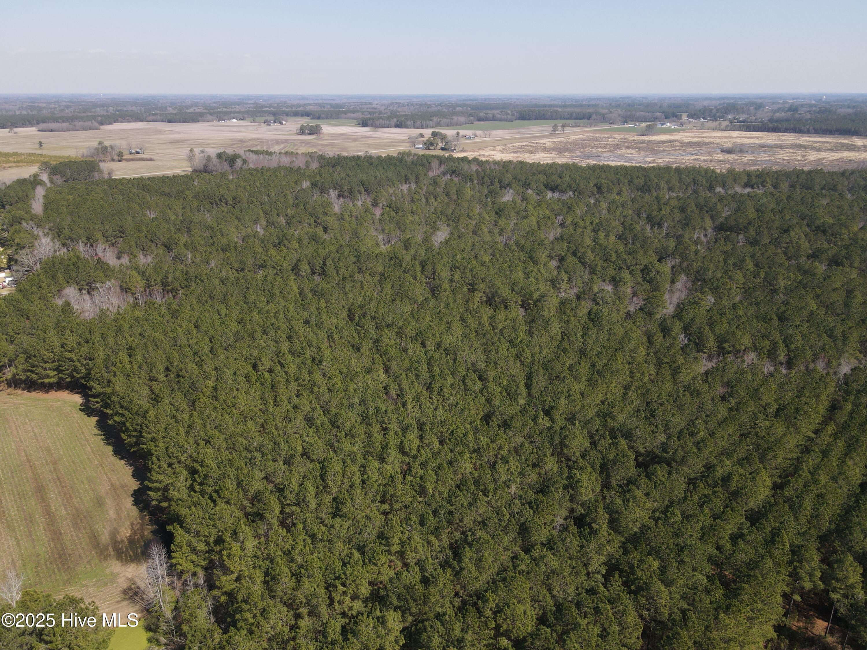 0 Webb Lake Road Wilson, NC 27893 - Photo 6 of 21 6