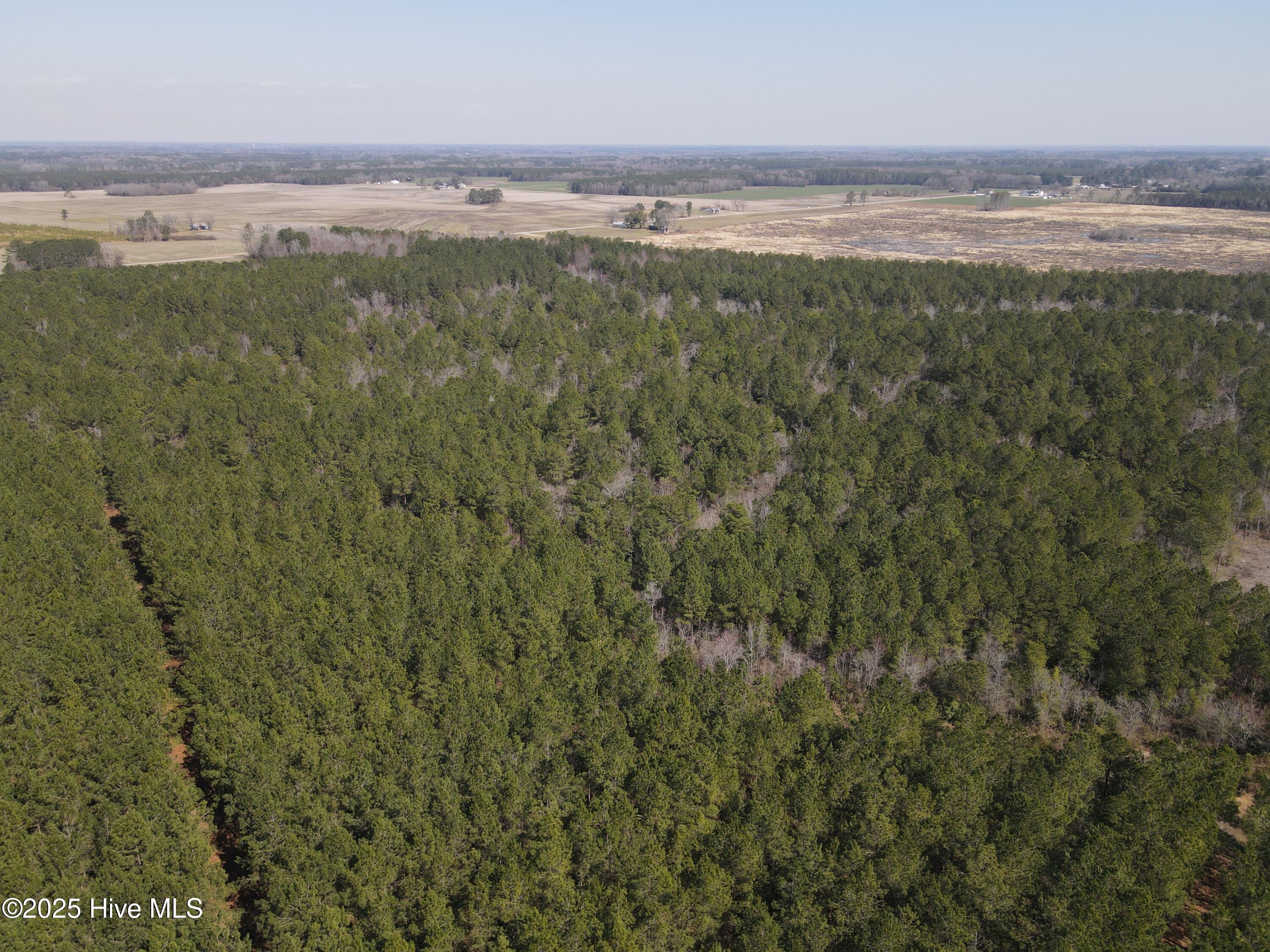 0 Webb Lake Road Wilson, NC 27893 - Photo 7 of 21 7