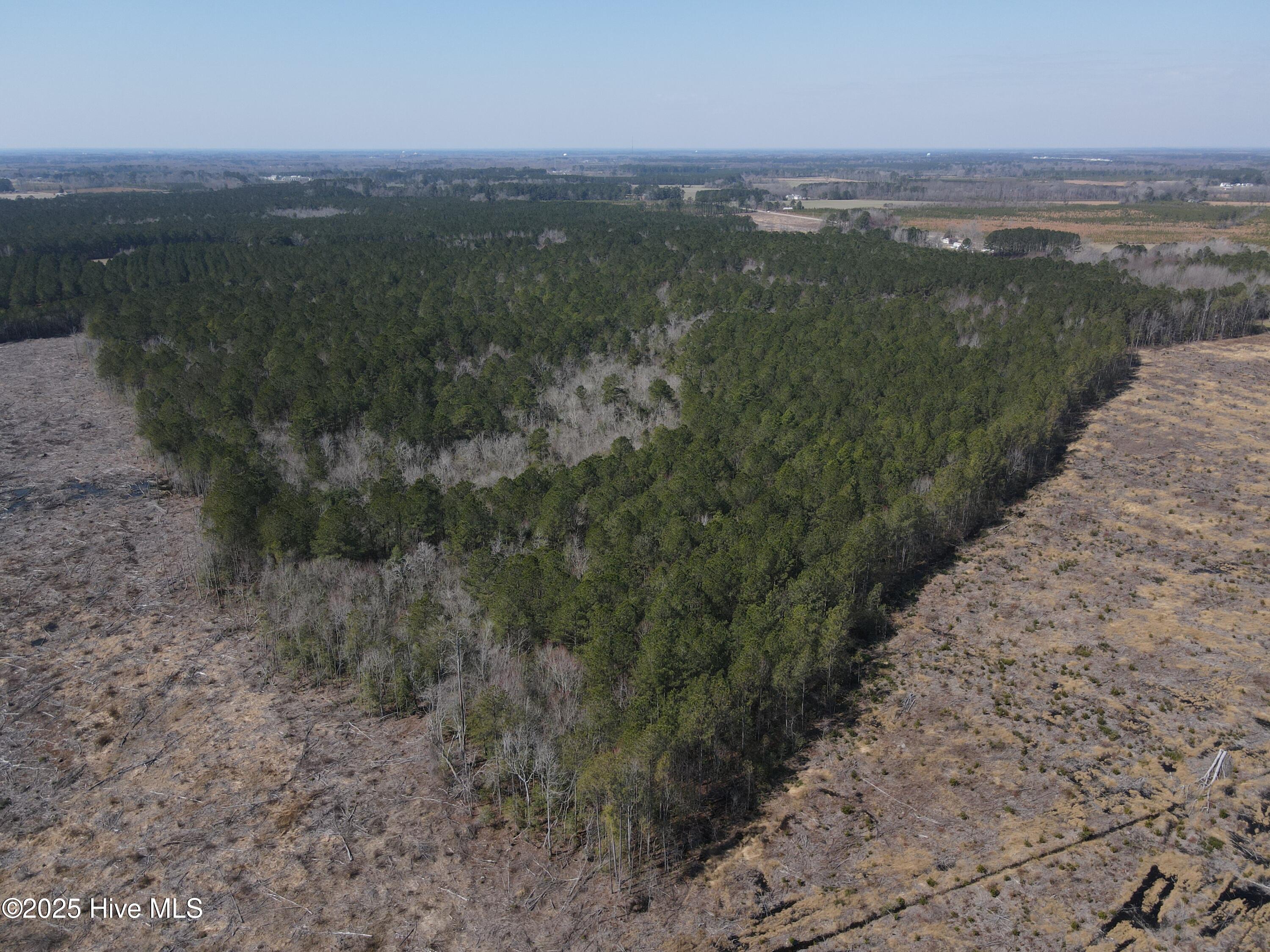 0 Webb Lake Road Wilson, NC 27893 - Photo 8 of 21 8