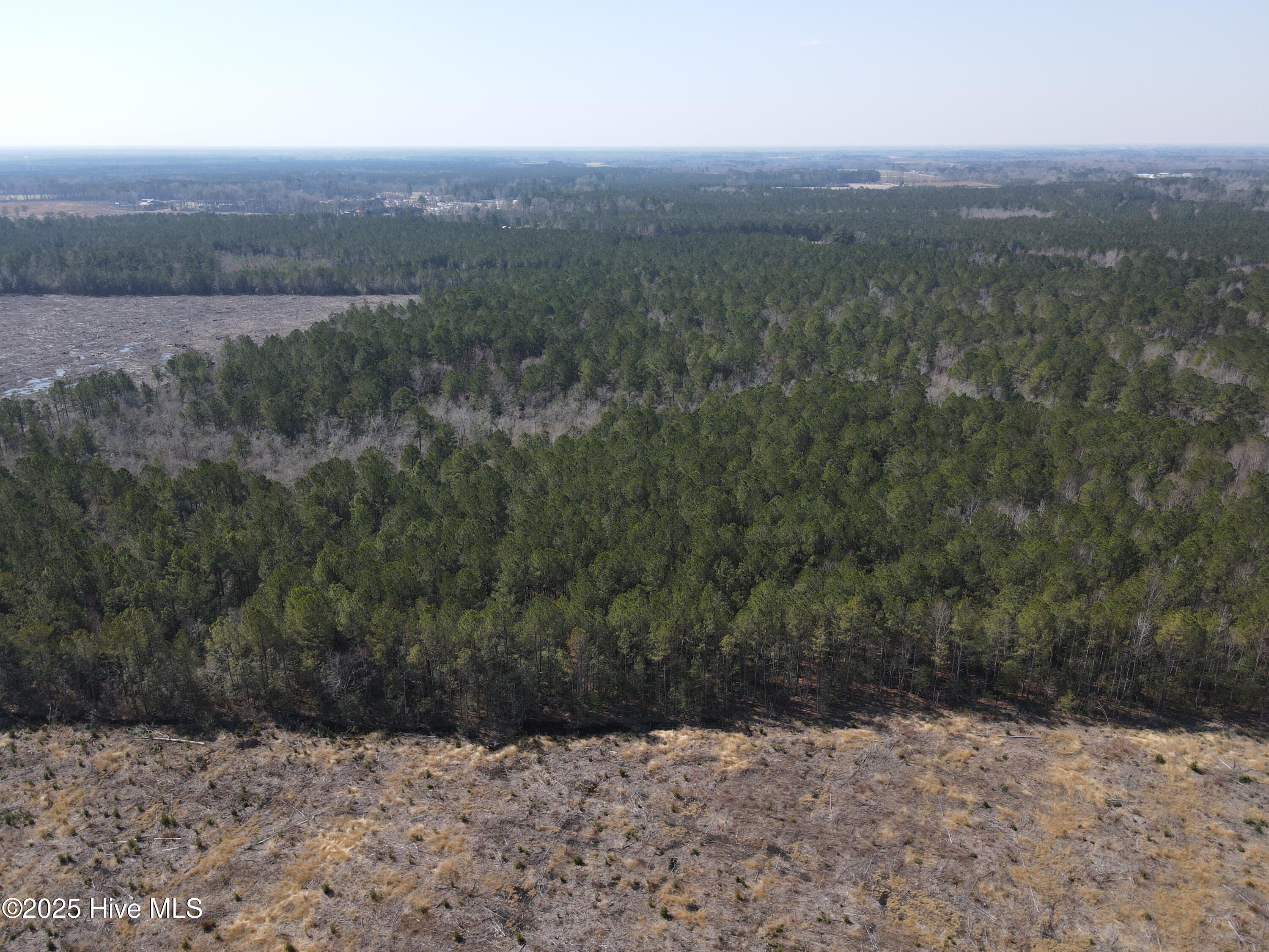 0 Webb Lake Road Wilson, NC 27893 - Photo 10 of 21 10