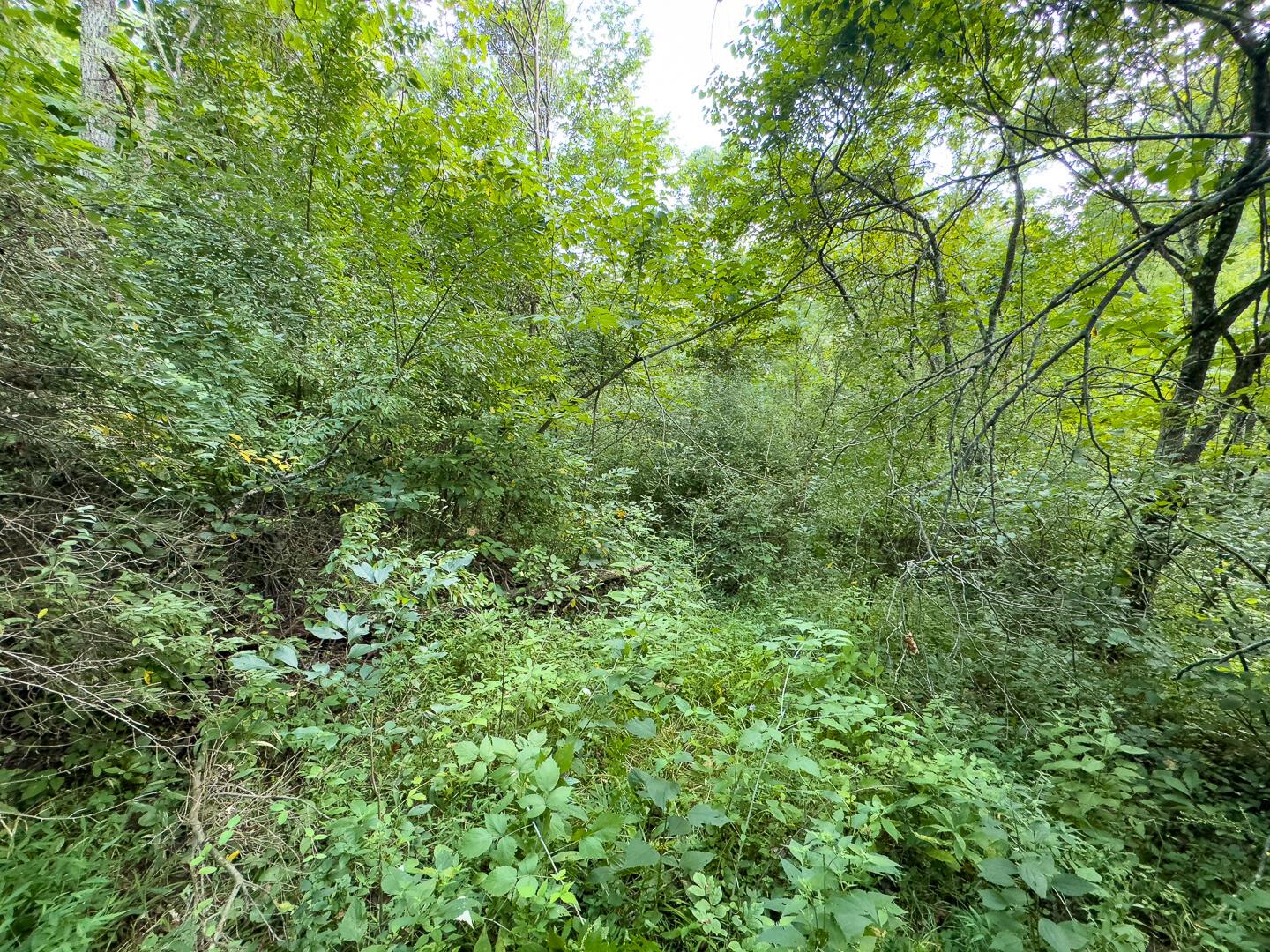 0 East Sand Ridge Road, Unit 338 Albany, OH 45710 - Photo 16 of 30 16-0 Sand Ridge Rd Ground-10