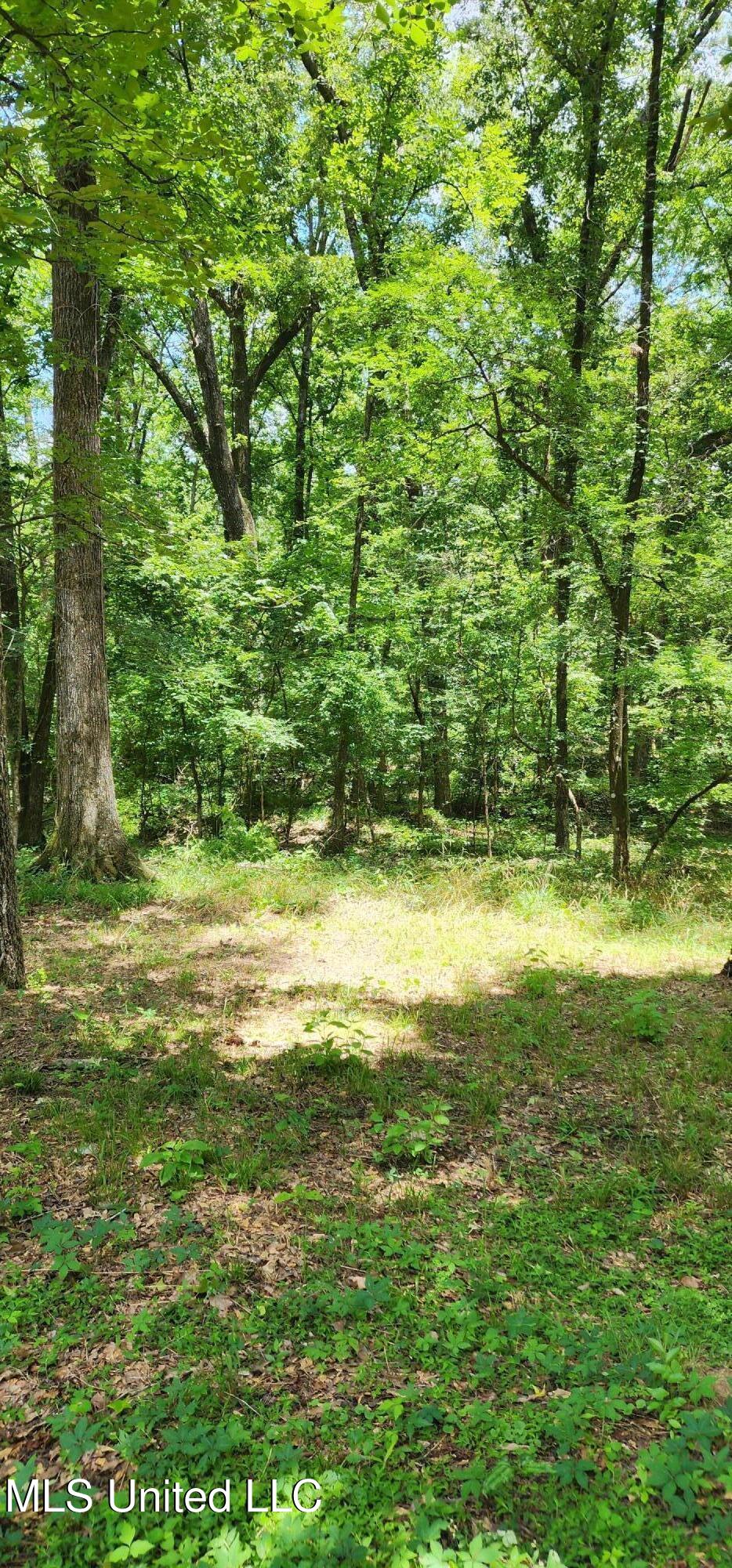 273 Springwood Drive Terry, MS 39170 - Photo 19 of 20 20250621_134325