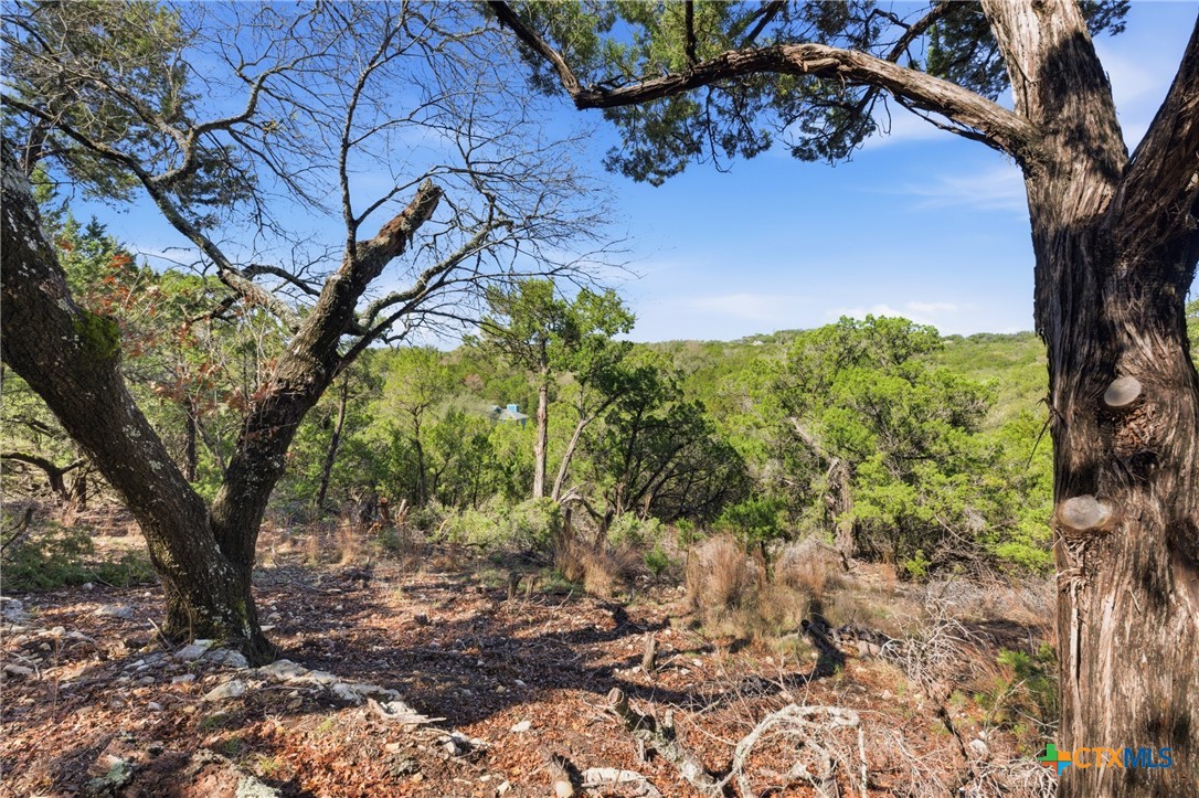 1025 Flaman Road Canyon Lake, TX 78133 - Photo 13 of 31 a view of a tree in a yard