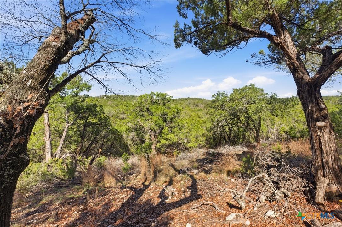 1025 Flaman Road Canyon Lake, TX 78133 - Photo 14 of 31 a view of a yard