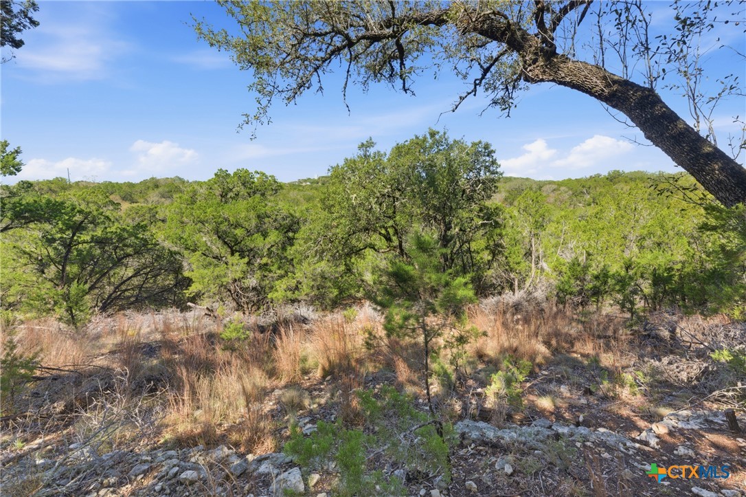 1025 Flaman Road Canyon Lake, TX 78133 - Photo 18 of 31 a view of a yard with a tree