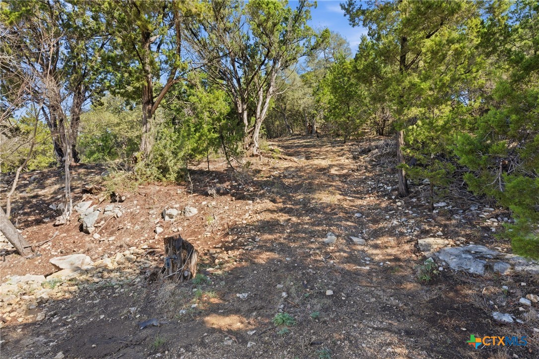 1025 Flaman Road Canyon Lake, TX 78133 - Photo 3 of 31 a view of outdoor space and yard