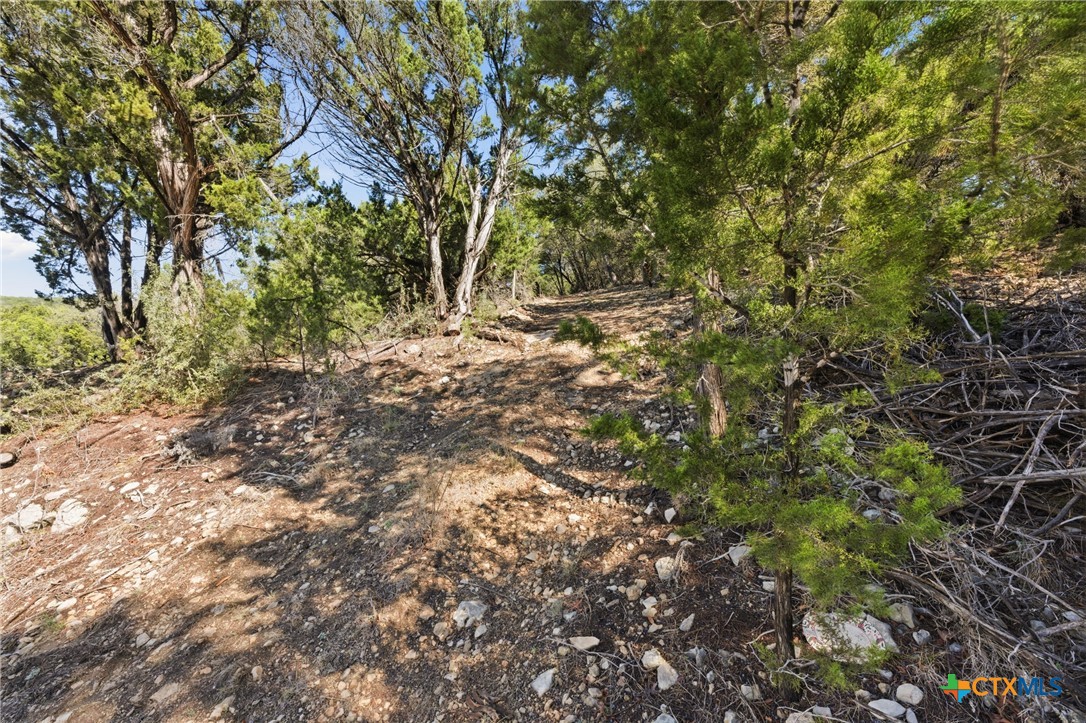 1025 Flaman Road Canyon Lake, TX 78133 - Photo 4 of 31 a view of forest