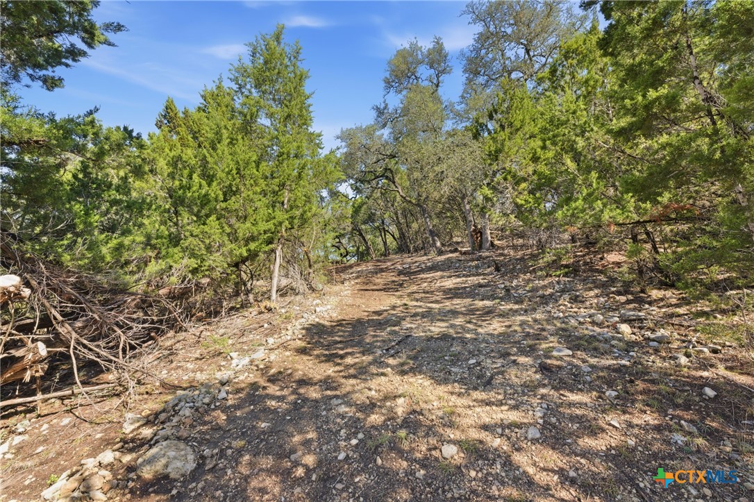 1025 Flaman Road Canyon Lake, TX 78133 - Photo 5 of 31 a view of outdoor space and trees