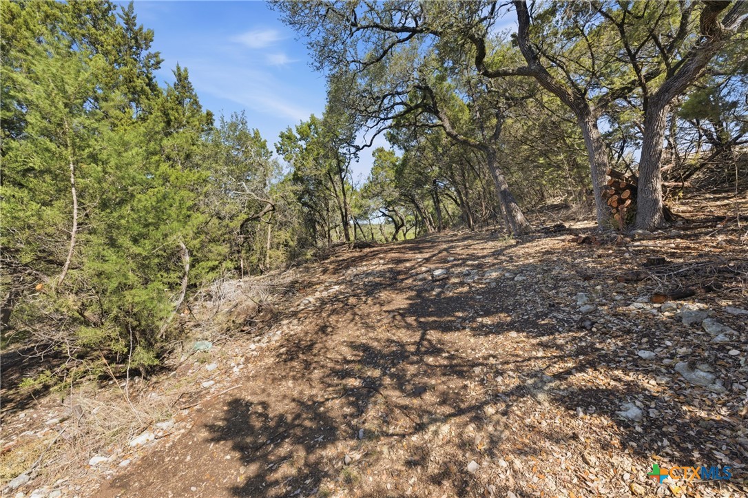 1025 Flaman Road Canyon Lake, TX 78133 - Photo 7 of 31 a view of a yard with plants and trees