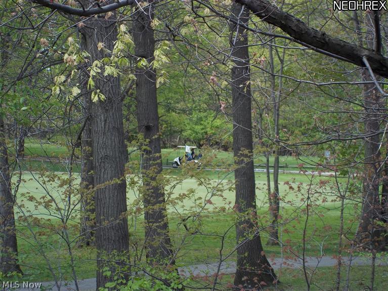 6466 State Road, Unit M5 Parma, OH 44134 - Photo 7 of 10 View of the West Ridgewood Golf Course putting green from the rear balcony of the condo!