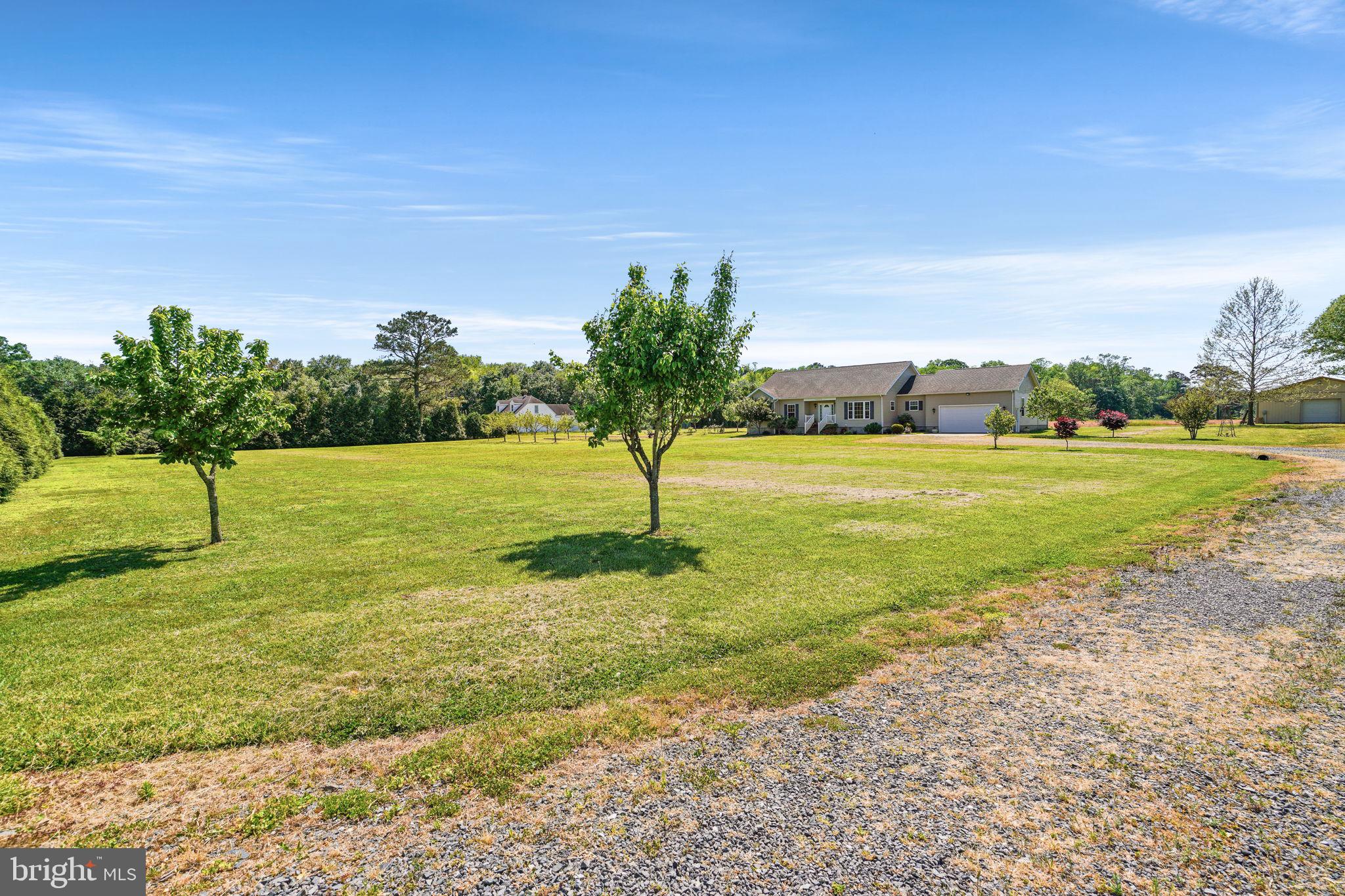 32444 Rehobeth Road Pocomoke City, MD 21851 - Photo 7 of 48 Front yard