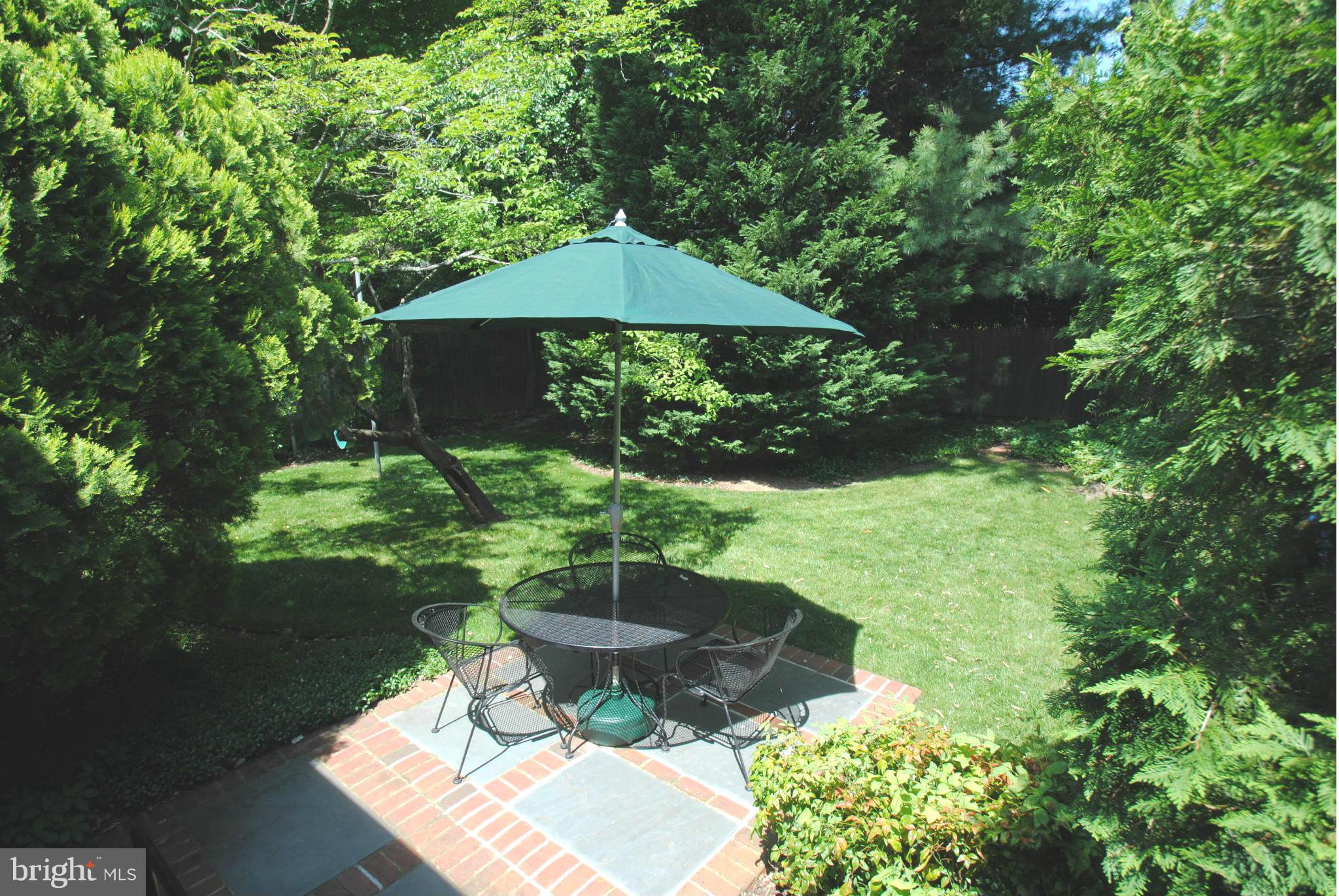 7921 Bainbridge Road Alexandria, VA 22308 - Photo 25 of 30 a view of a backyard with plants and a patio