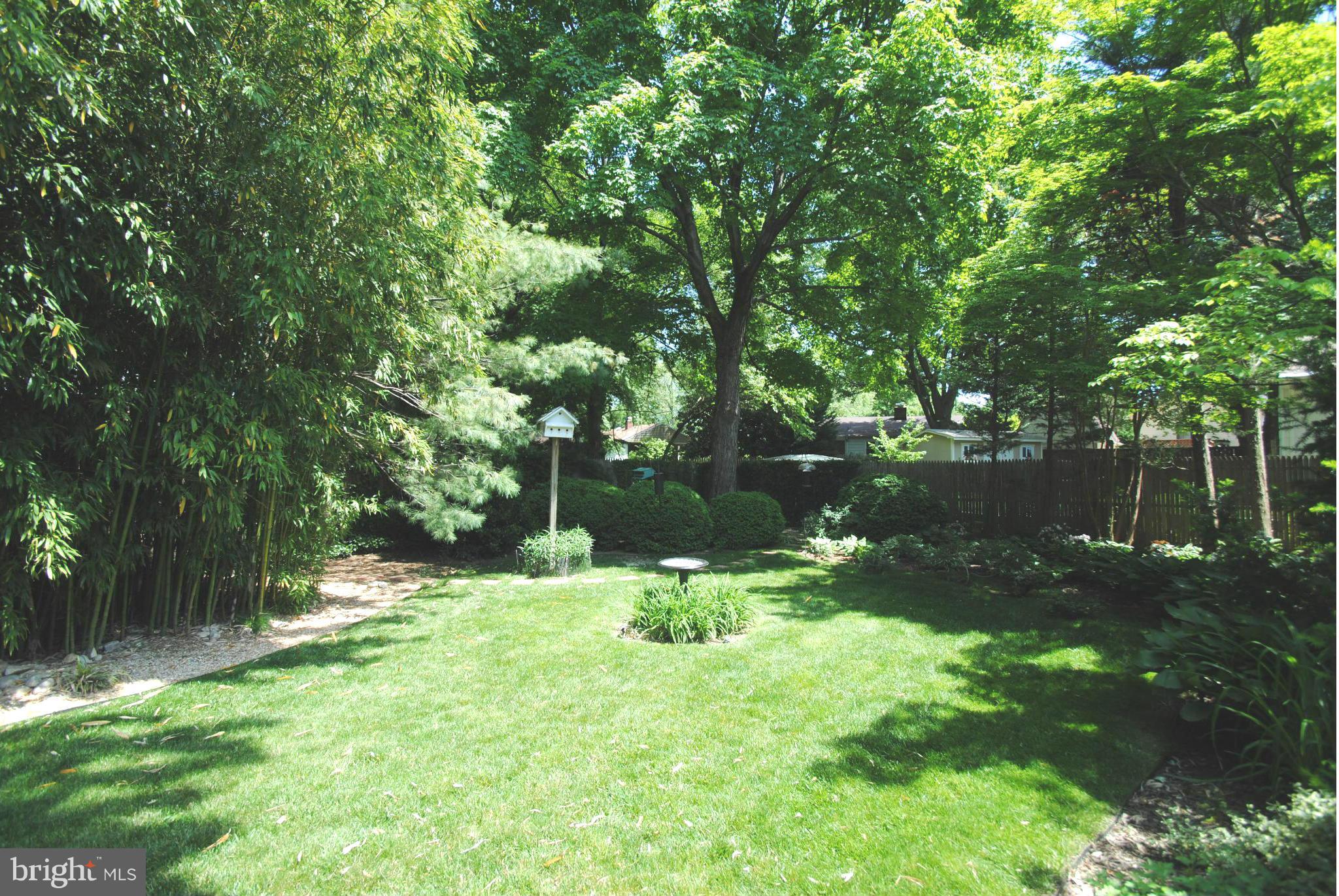 7921 Bainbridge Road Alexandria, VA 22308 - Photo 29 of 30 a backyard of a house with lots of green space