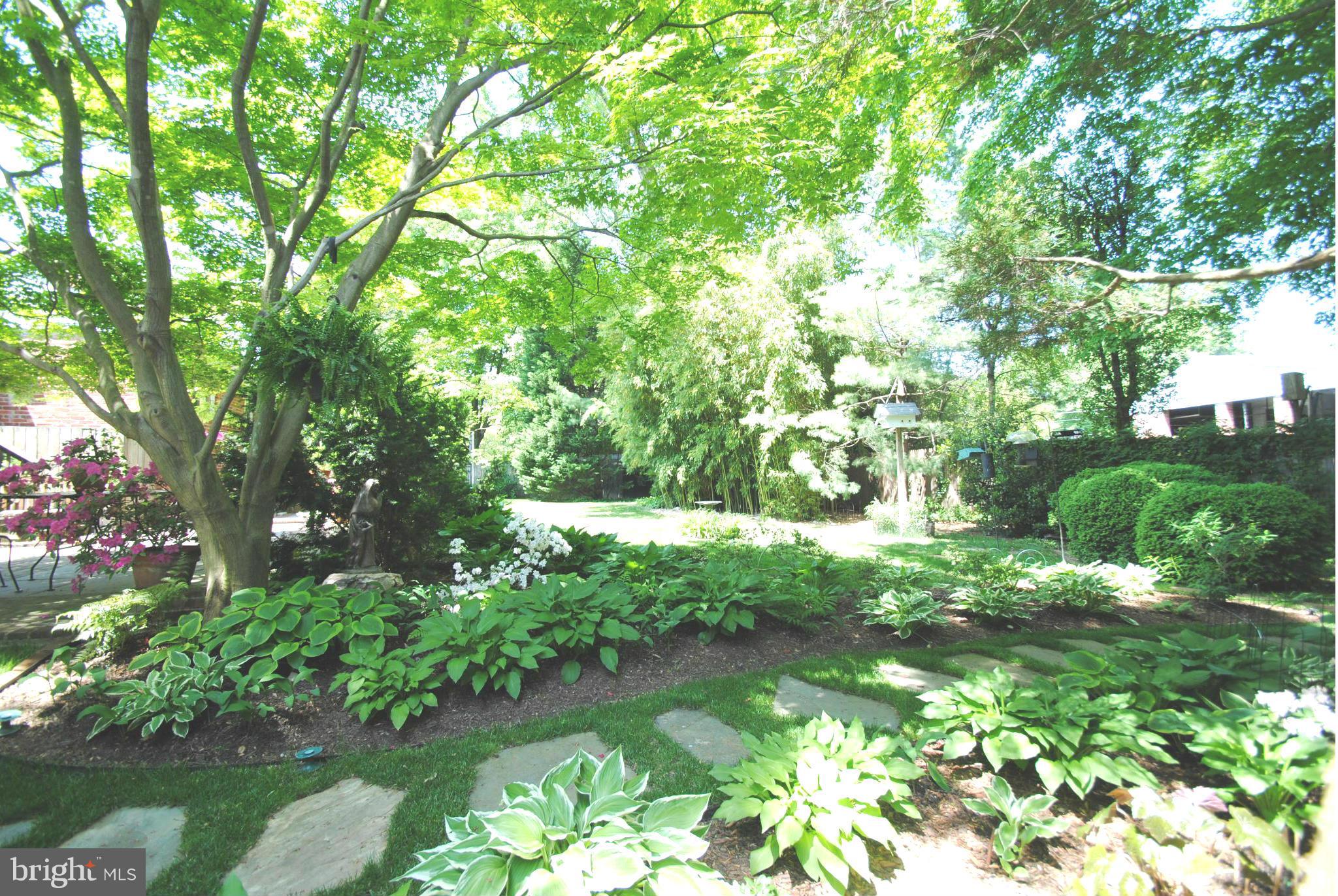 7921 Bainbridge Road Alexandria, VA 22308 - Photo 30 of 30 a backyard of a house with lots of green space and garden