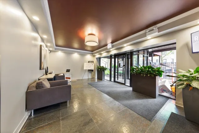 a living room with furniture and a potted plant