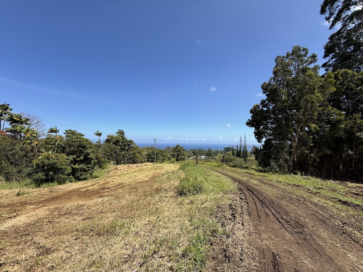 33 Kaiwiki Road Hilo, HI 96720 - Photo 27 of 29