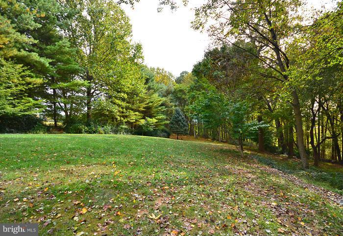 2415 Engle Road Fallston, MD 21047 - Photo 29 of 29 a view of a yard with a tree