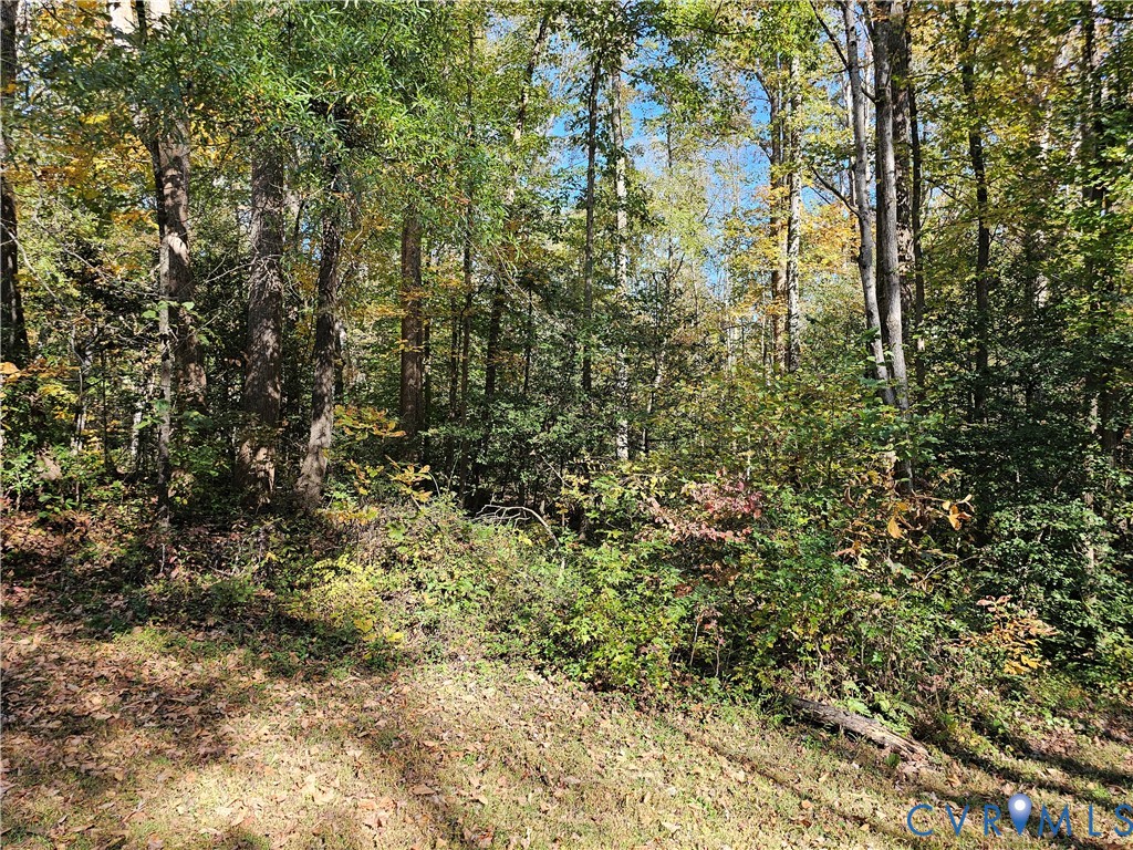 2614 Perkinsville Road Maidens, VA 23102 - Photo 1 of 2 a view of a yard with a tree