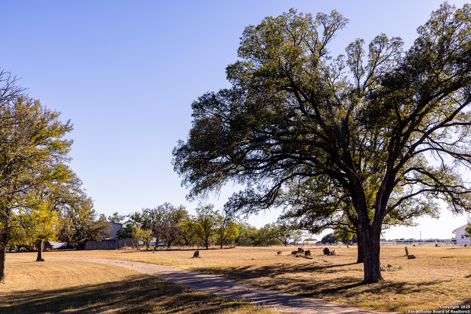 387 Schmidtzinsky Road Fredericksburg, TX 78624 - Photo 23 of 37 a view of yard with trees