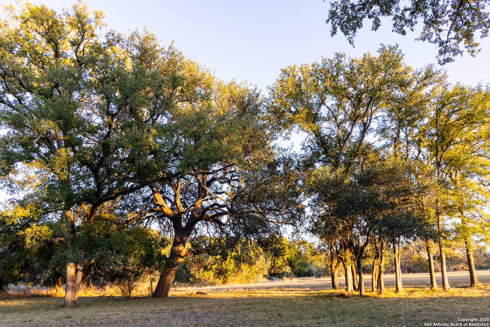 387 Schmidtzinsky Road Fredericksburg, TX 78624 - Photo 26 of 37 a view of outdoor space with trees