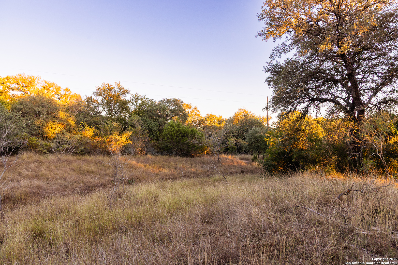 387 Schmidtzinsky Road Fredericksburg, TX 78624 - Photo 31 of 37 a view of a dry yard with wooden fence