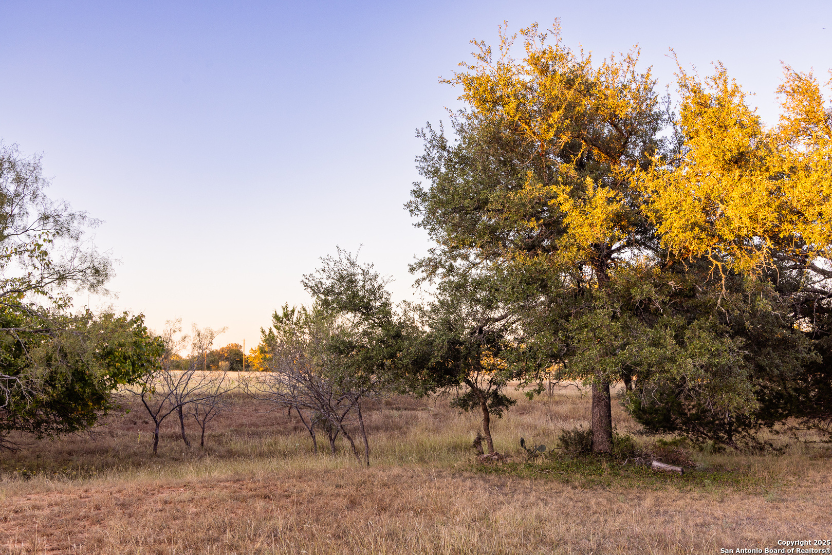 387 Schmidtzinsky Road Fredericksburg, TX 78624 - Photo 33 of 37 a view of a forest with trees in the background
