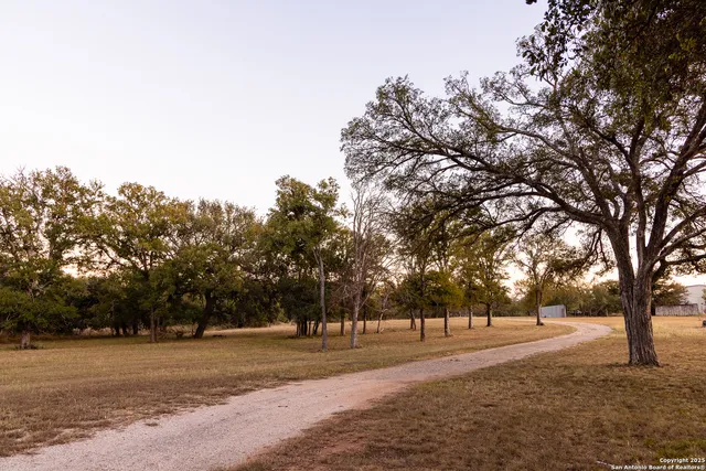 a view of a park with bench and trees