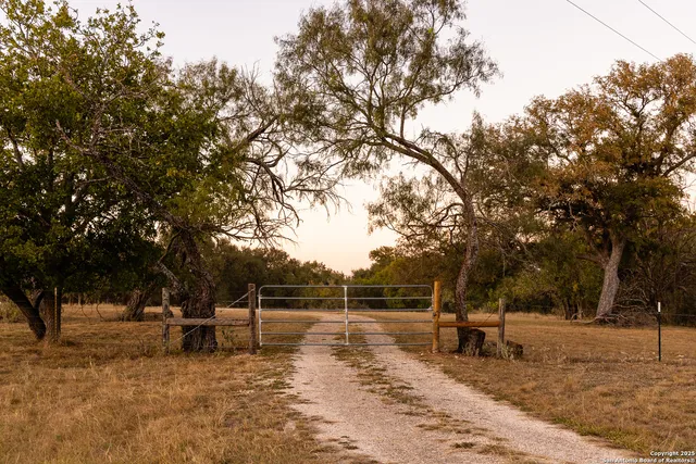 a view of a yard with a tree