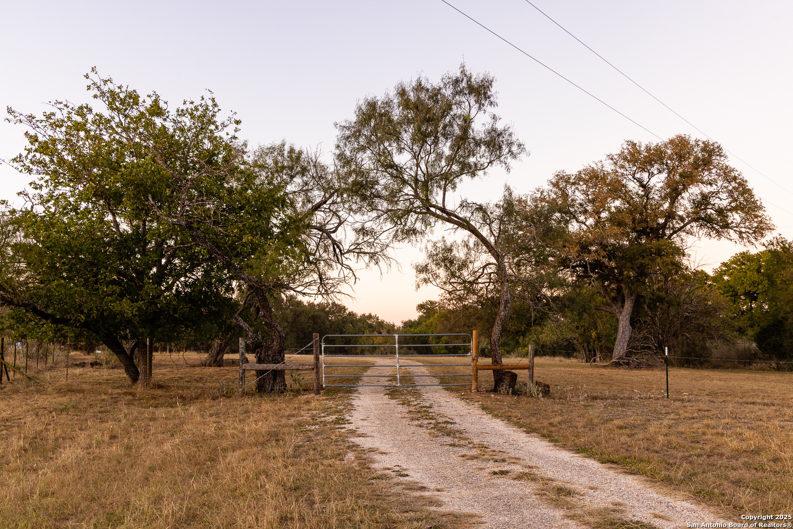 387 Schmidtzinsky Road Fredericksburg, TX 78624 - Photo 36 of 37 a view of a yard with a tree