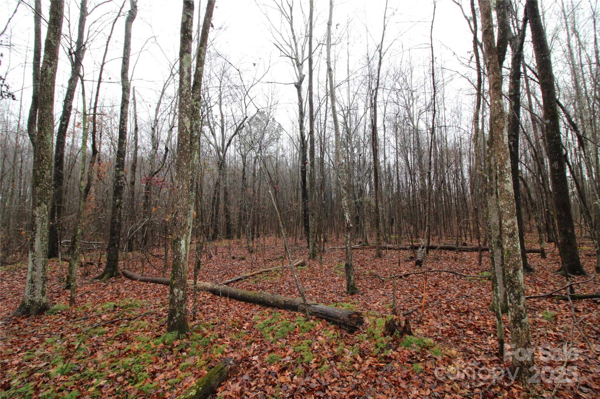 5-ac Eaker Road, Unit LOT 1 Bessemer City, NC 28016 - Photo 3 of 5