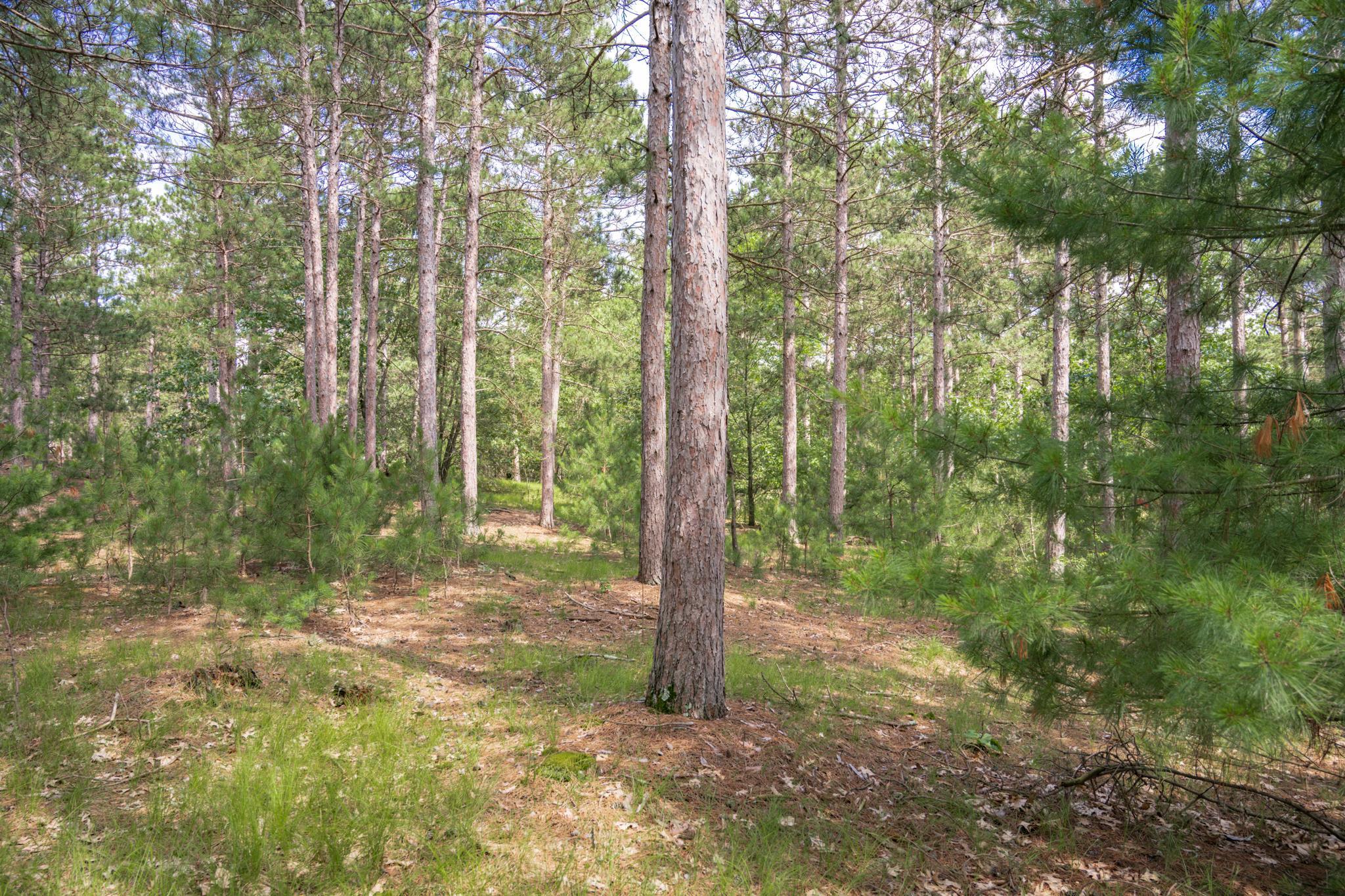 Lot 23 Dover Friendship, WI 53934 - Photo 7 of 15